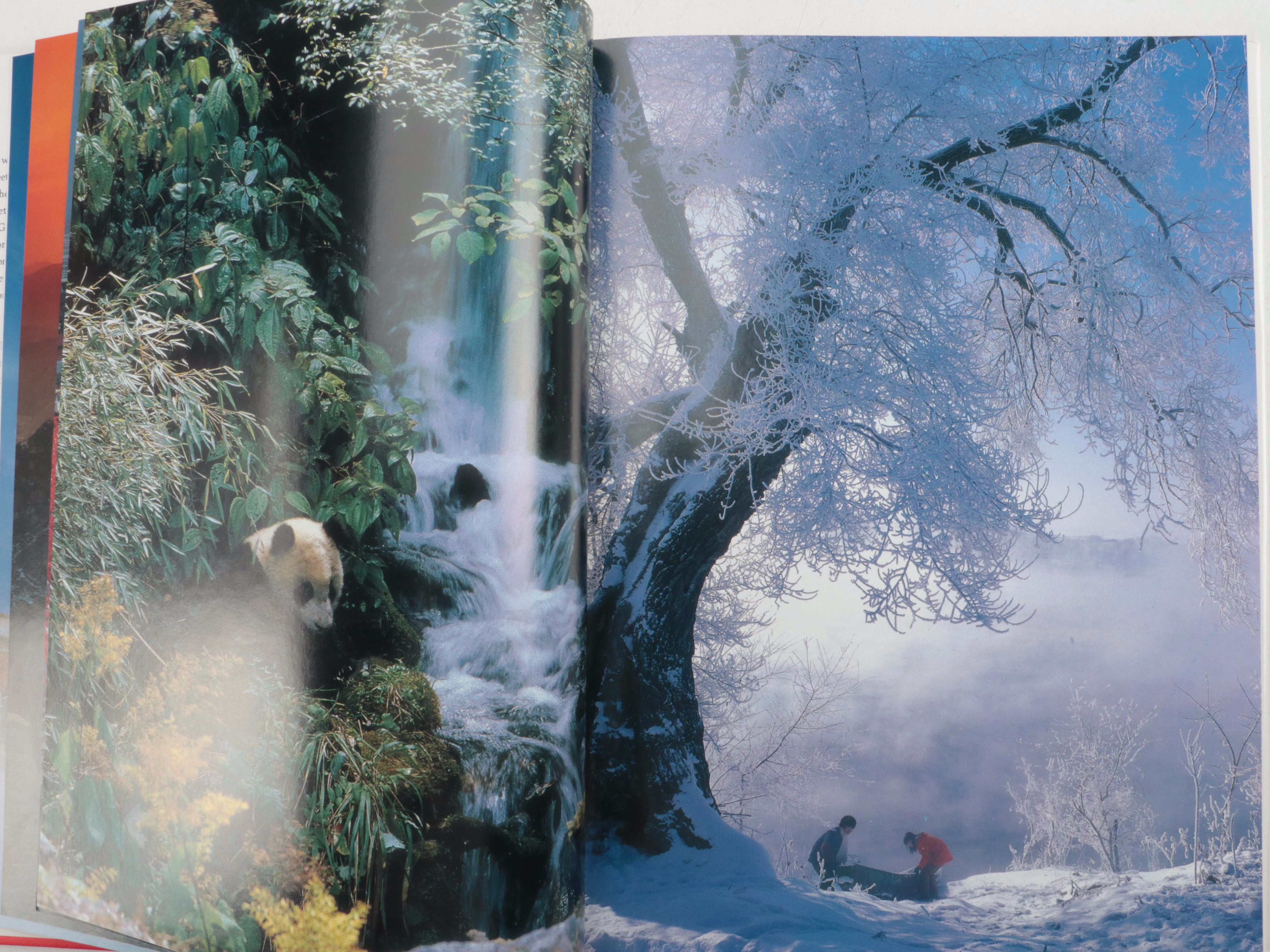 "Spectacular China" by Nigel Cameron and More Chinese Art and History Books