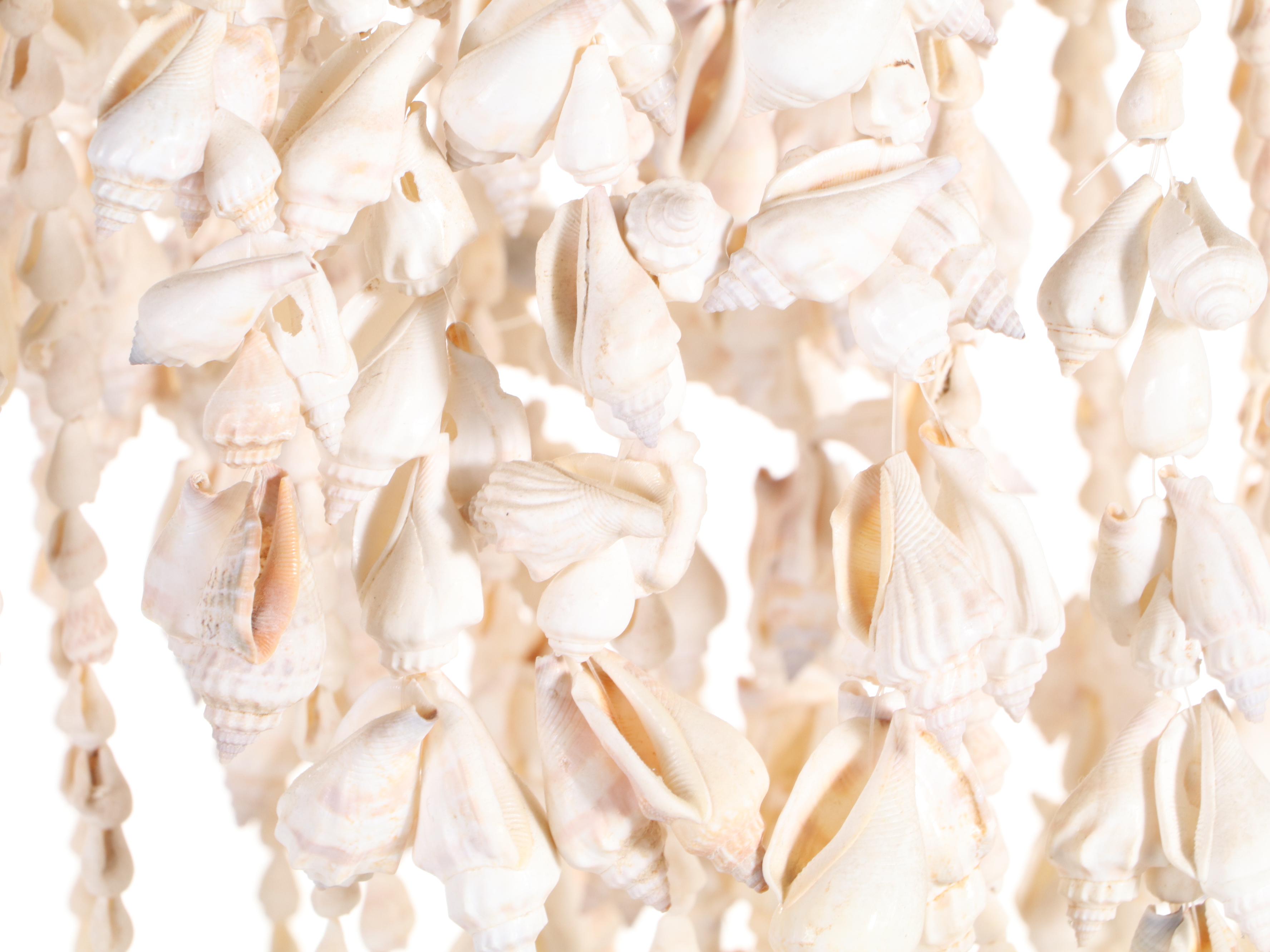 Handmade Chula Shell Wind Chime