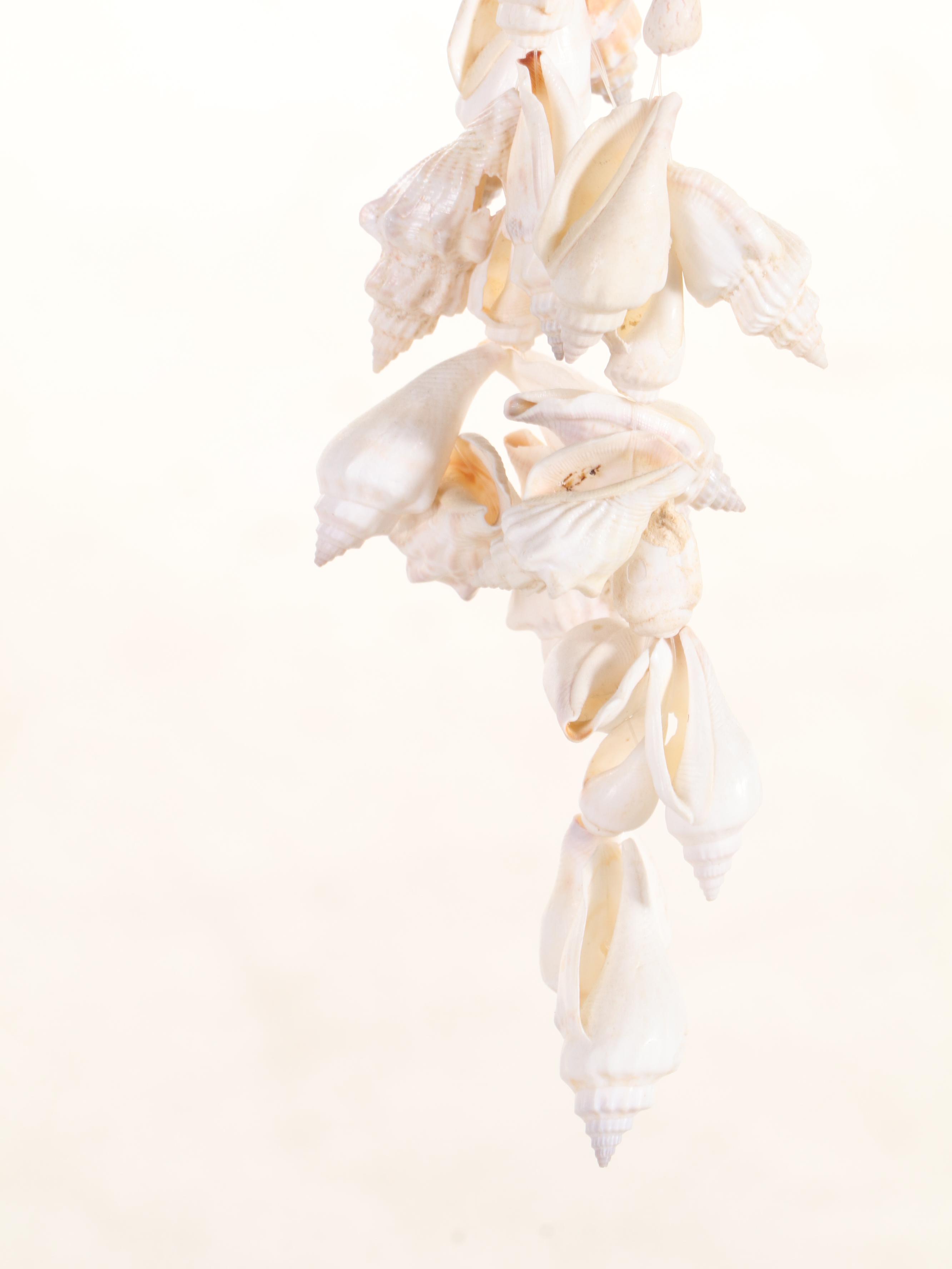 Handmade Chula Shell Wind Chime