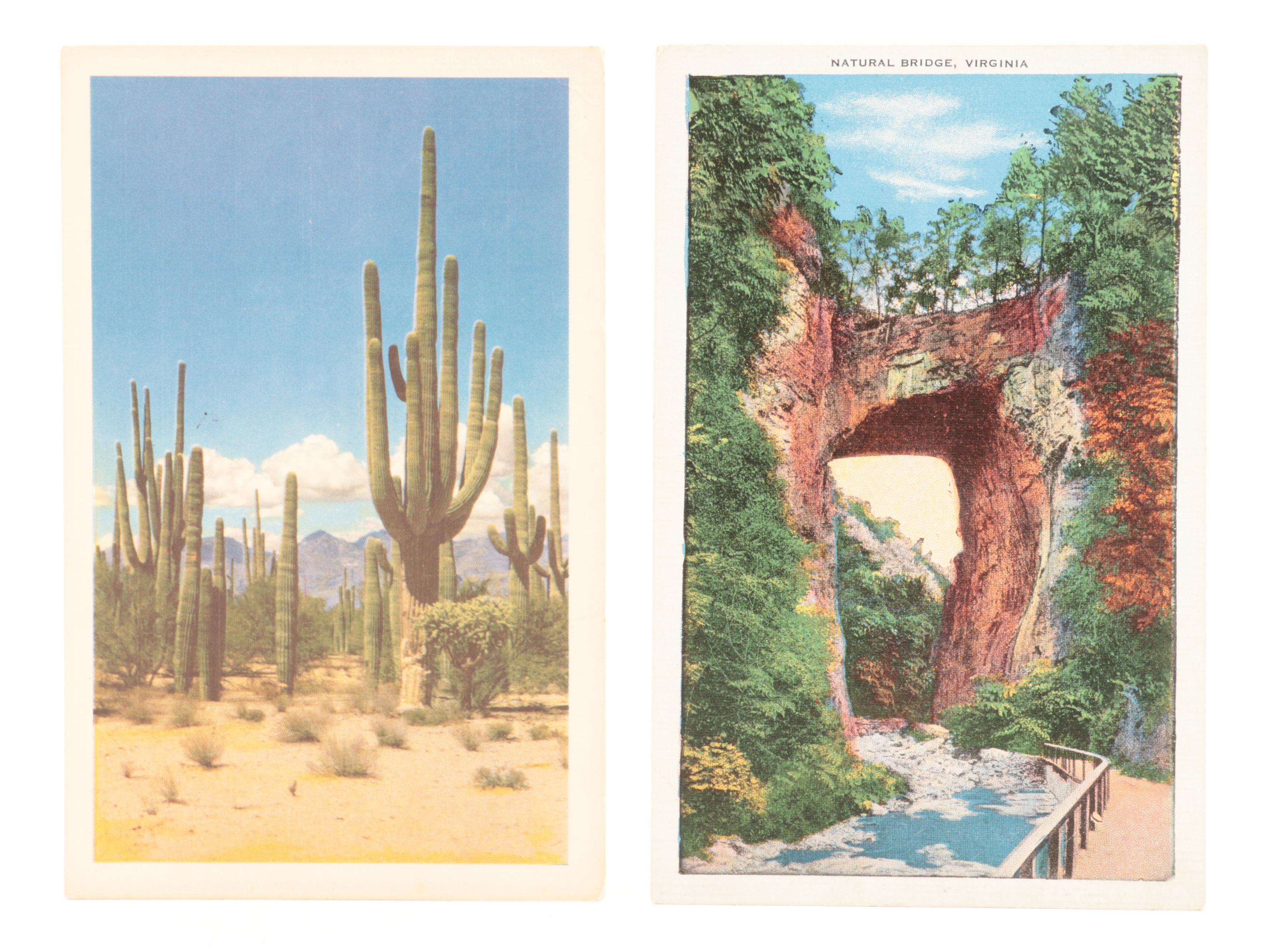 Curteich, Tichnor Bros, and More Souvenir Postcards, Mid-20th Century