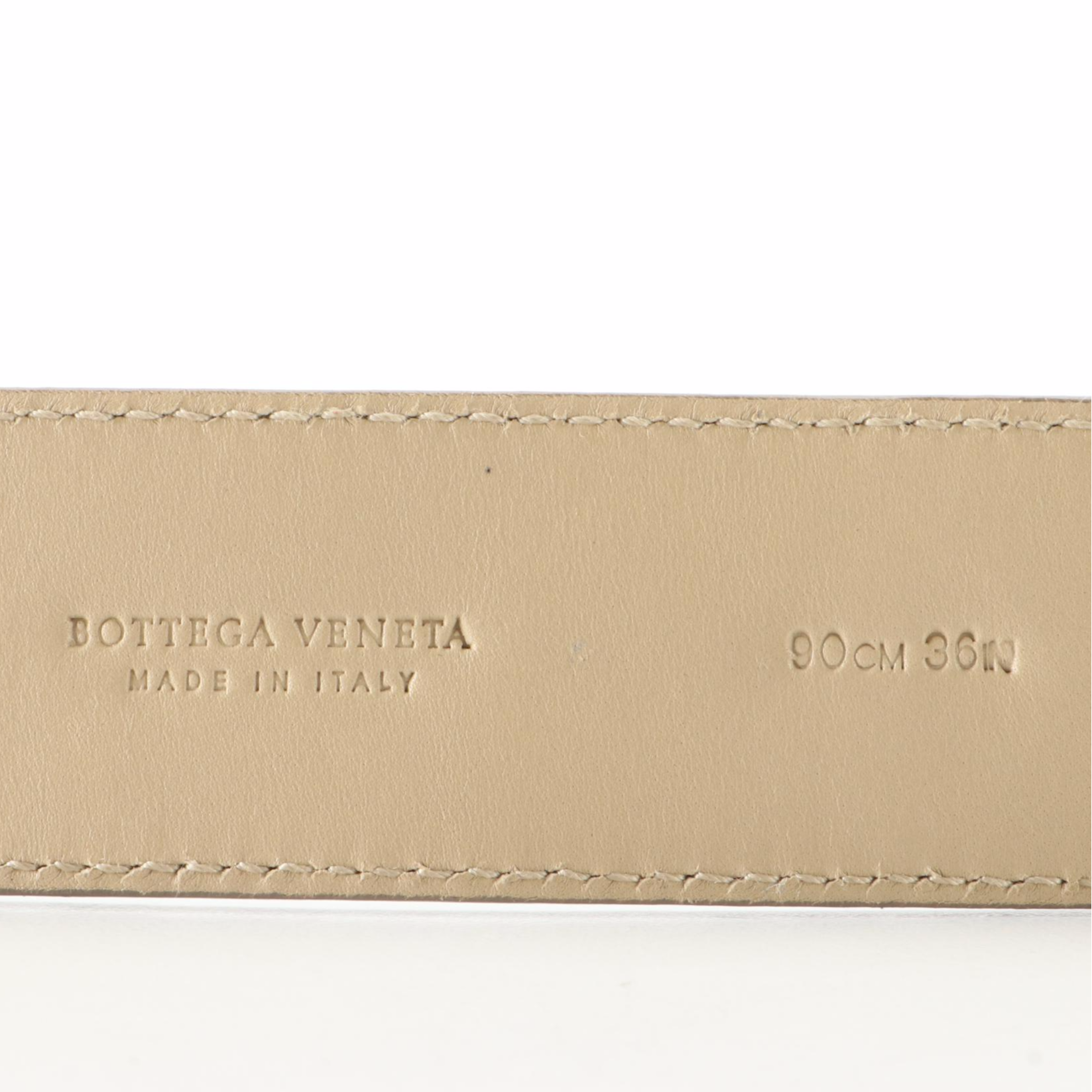 Bottega Veneta Belt with Mini Pouch in Snakeskin