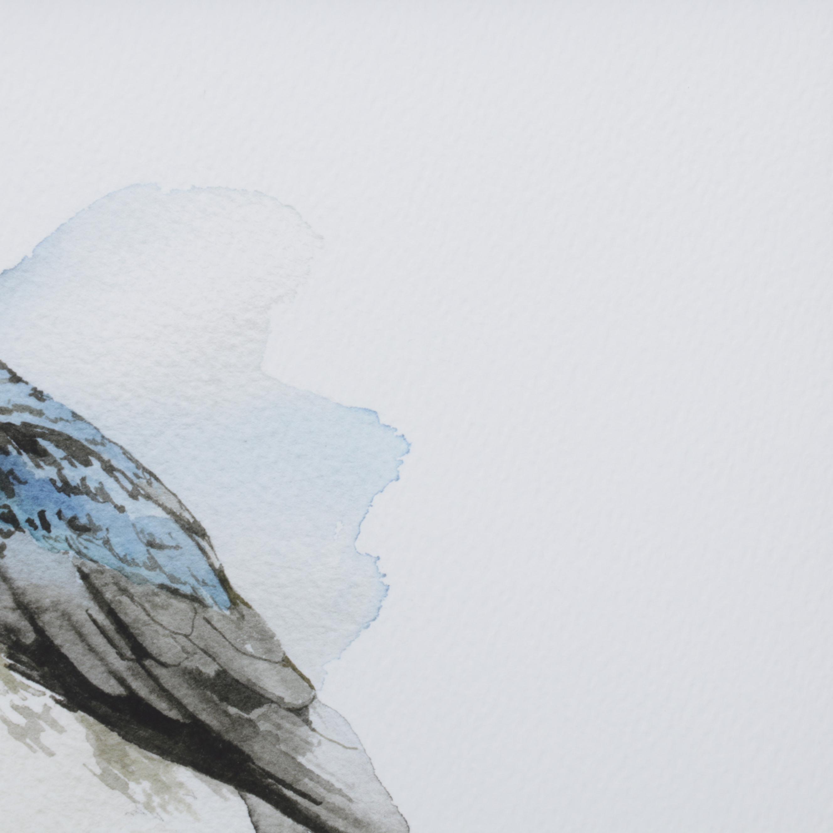 Bluebird Giclée After N. Marie, 21st Century