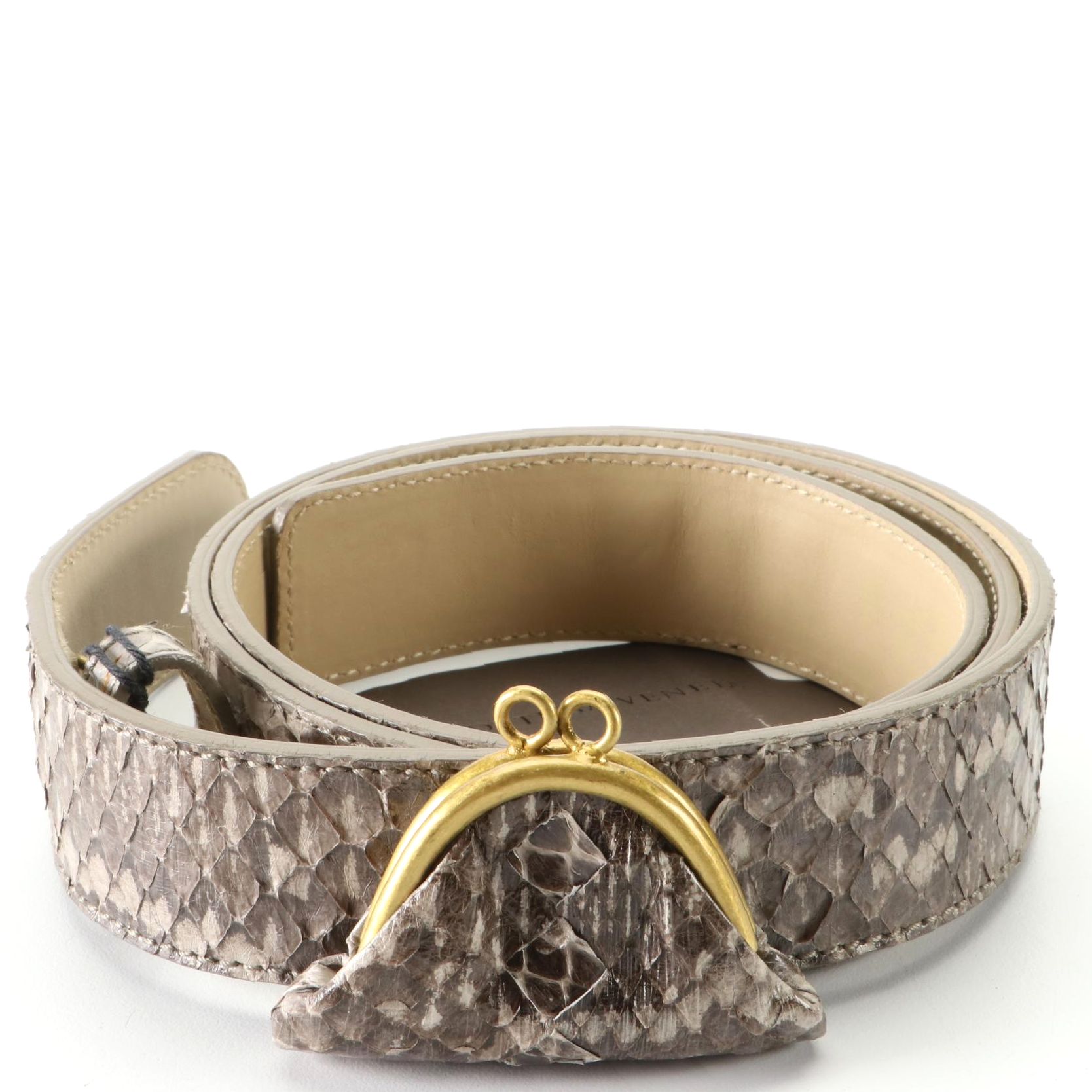 Bottega Veneta Belt with Mini Pouch in Snakeskin