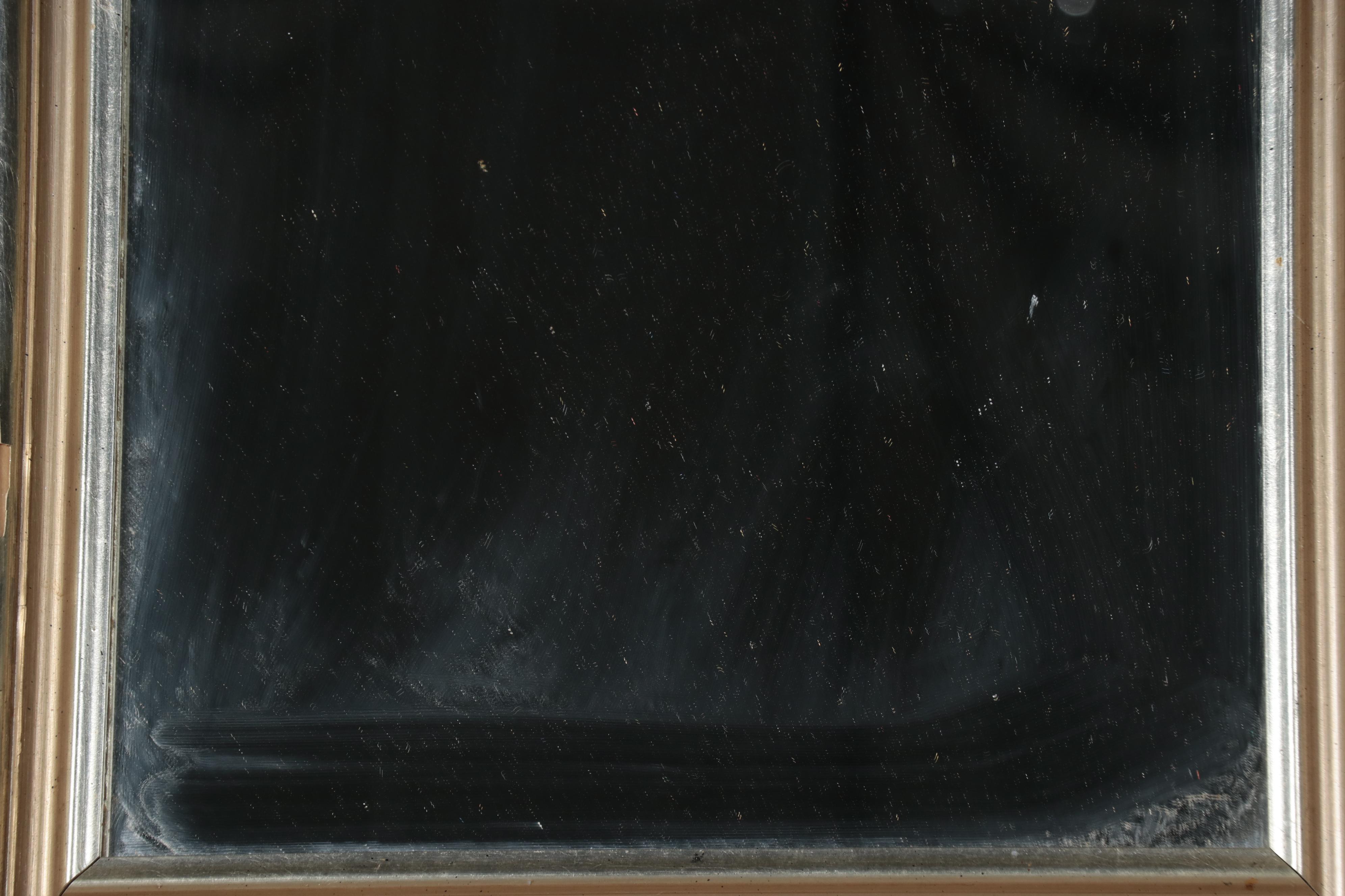 Eglomise Rectangular Wall Hanging Mirrors With Duck and Flower Motifs