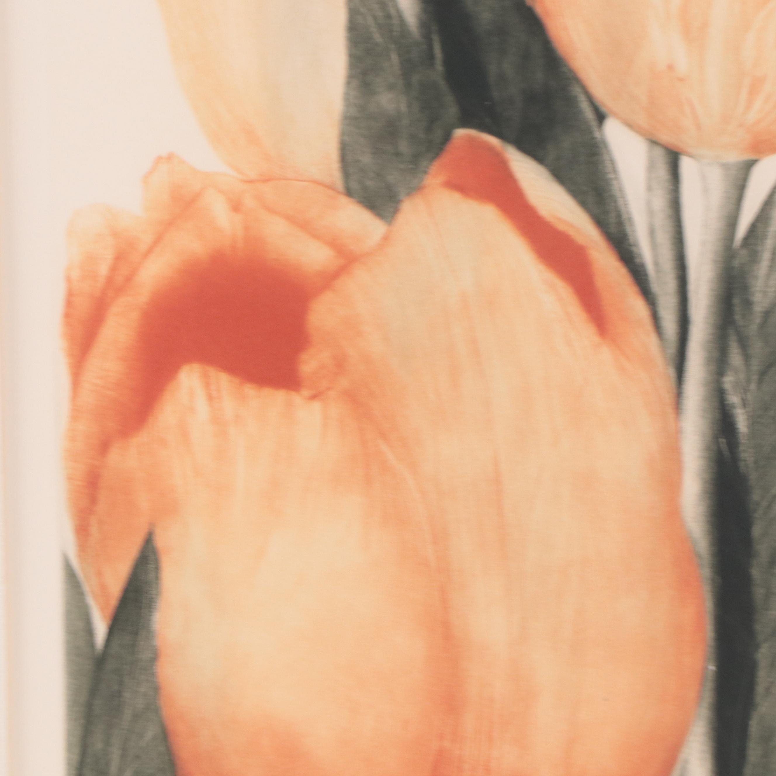 G.H. Rothe Mezzotint Etching "Tulips"