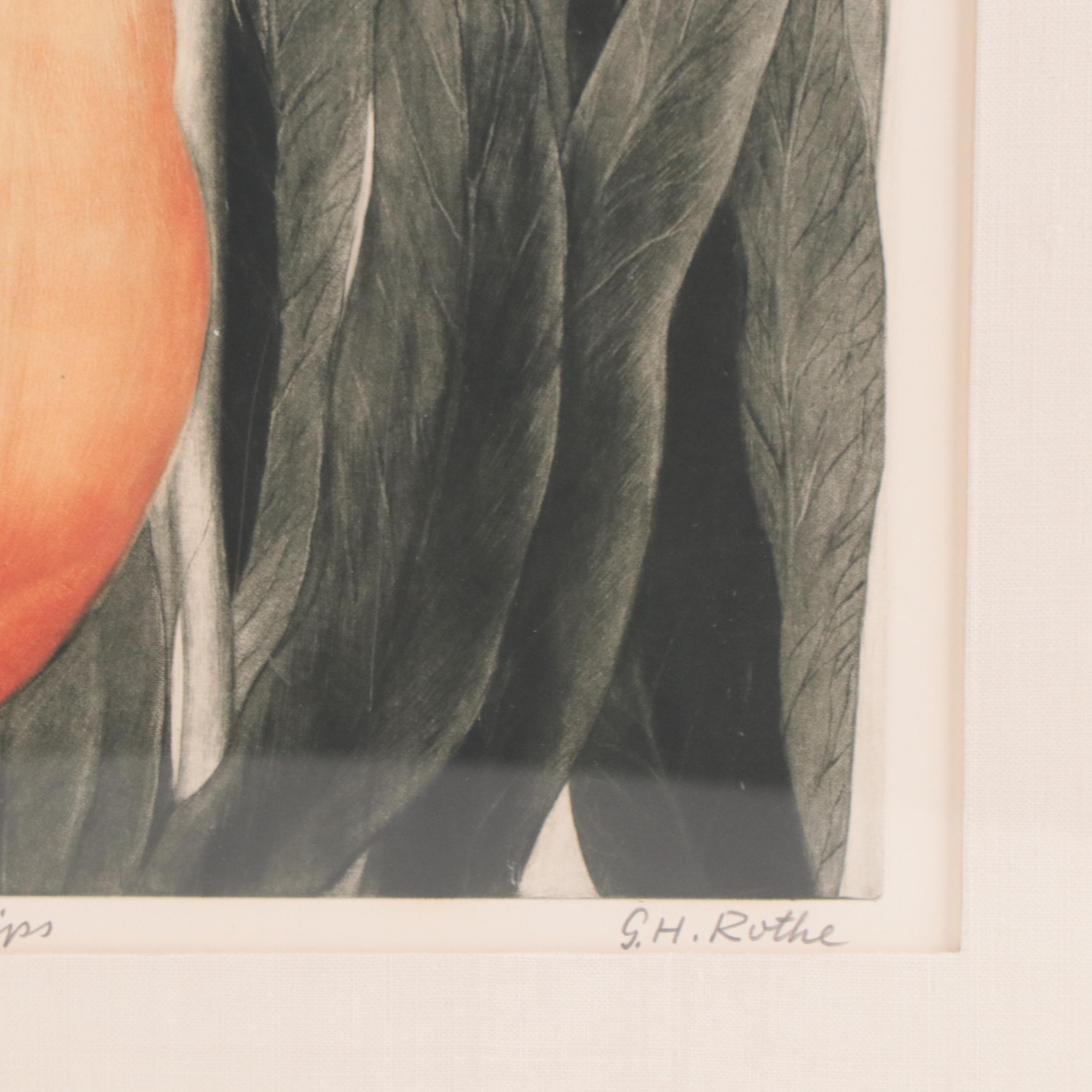G.H. Rothe Mezzotint Etching "Tulips"