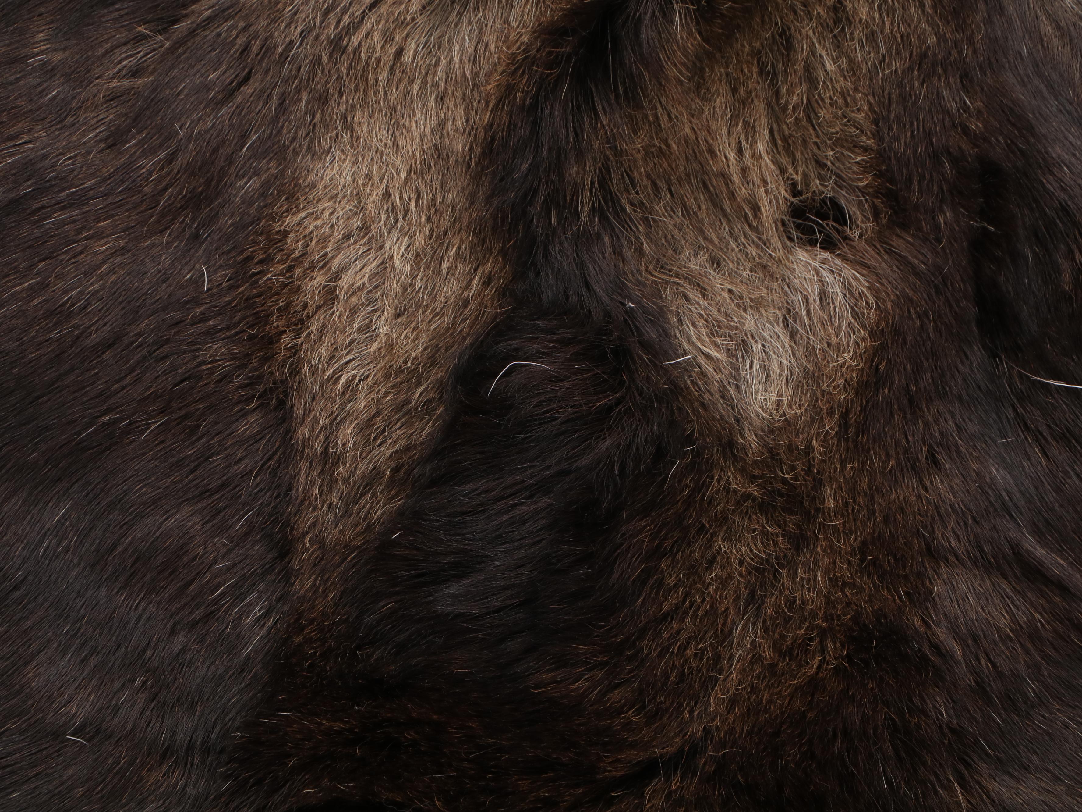 Moose Hide
