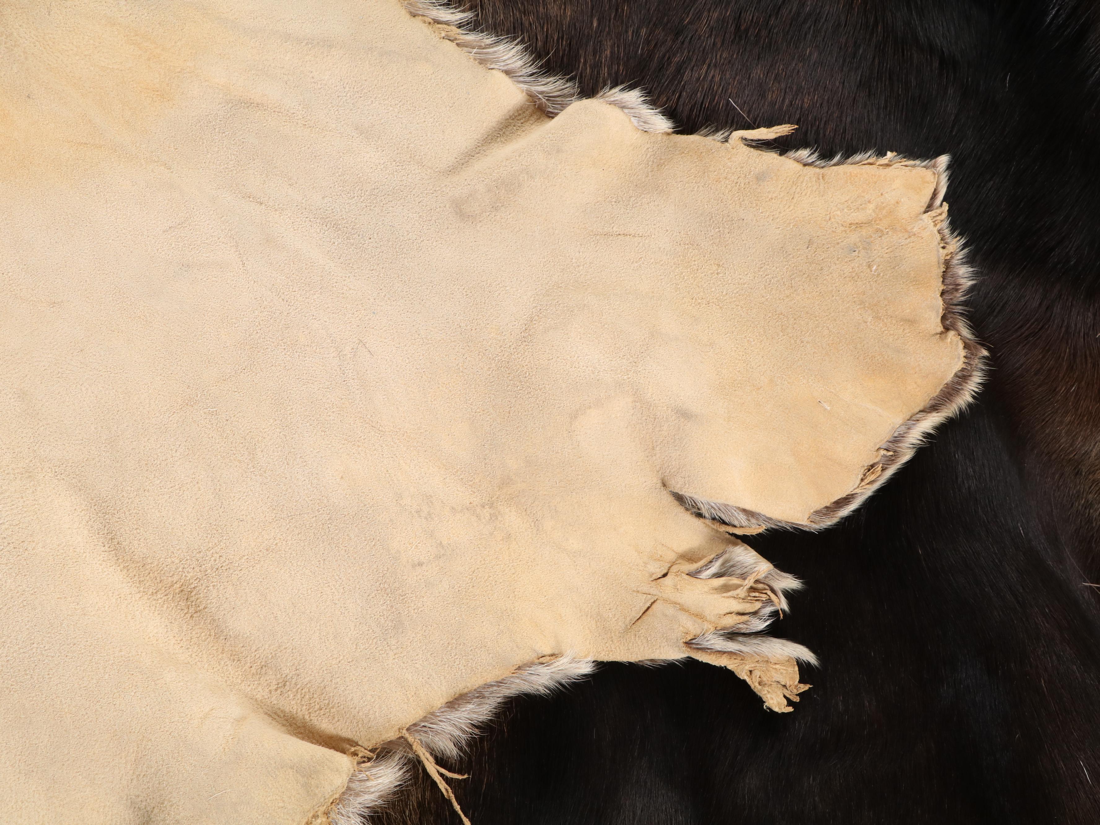 Moose Hide