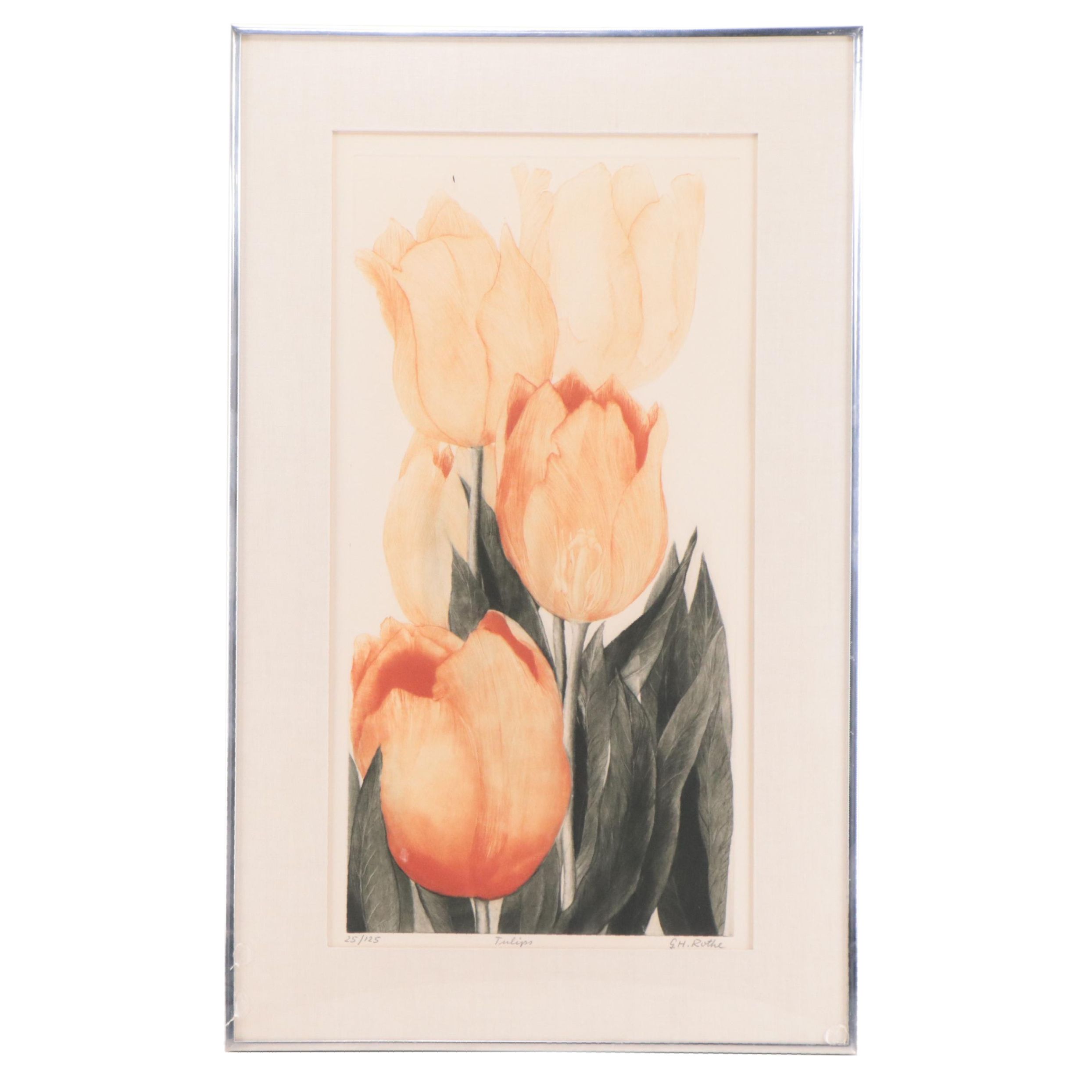 G.H. Rothe Mezzotint Etching "Tulips"