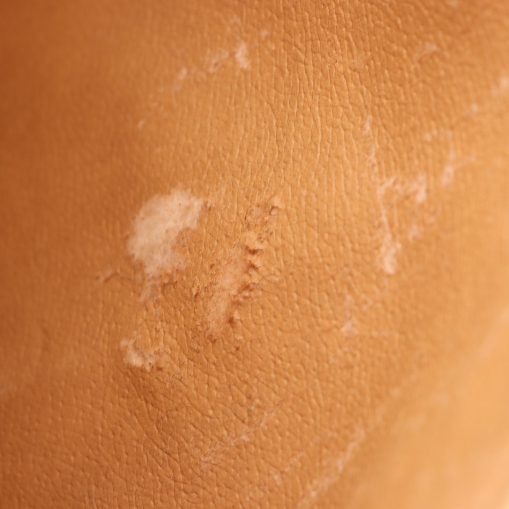 Gucci Tote in Micro GG Supreme Canvas and Leather