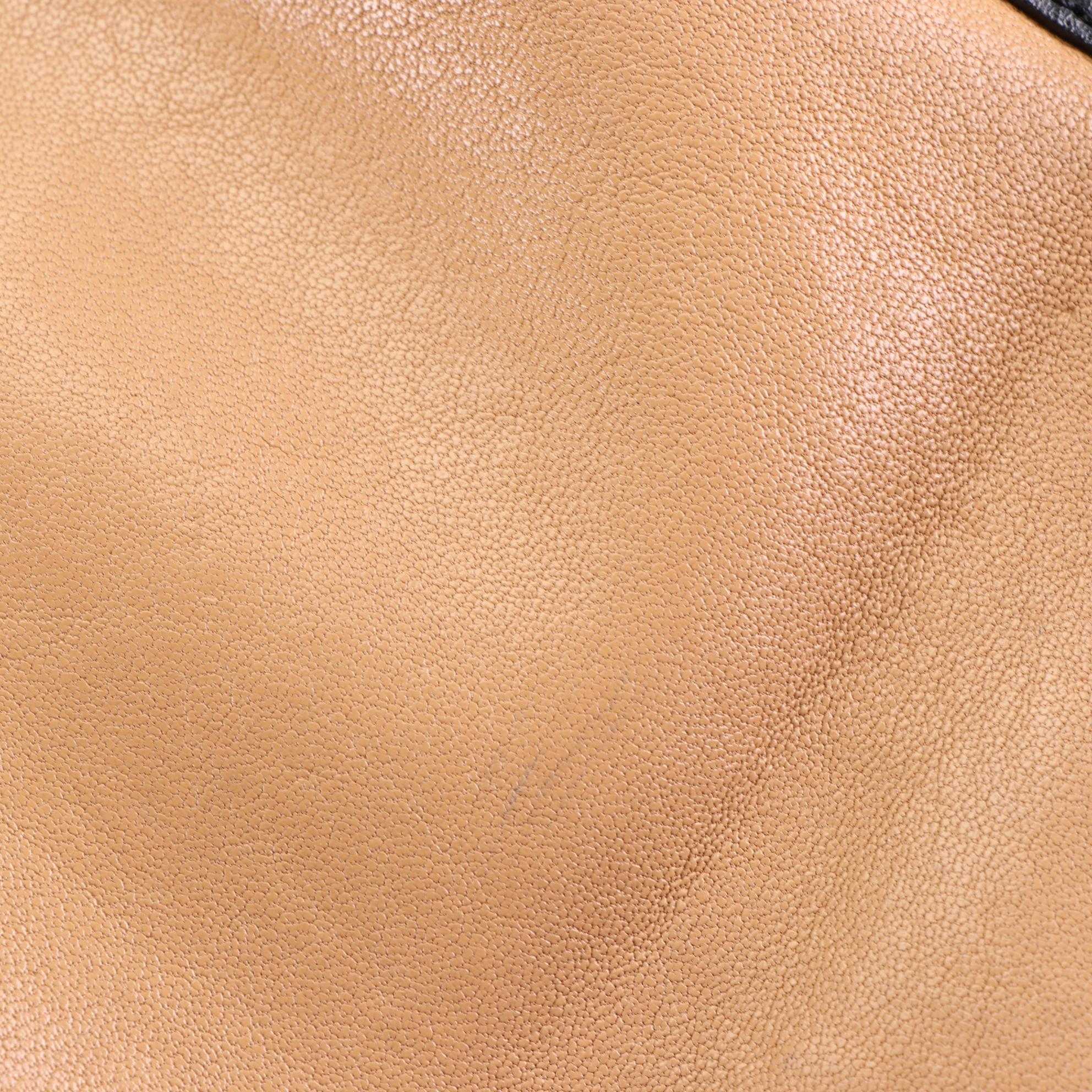 Chloé Alison Tote Bag in Bicolor Goatskin and Calfskin Leather