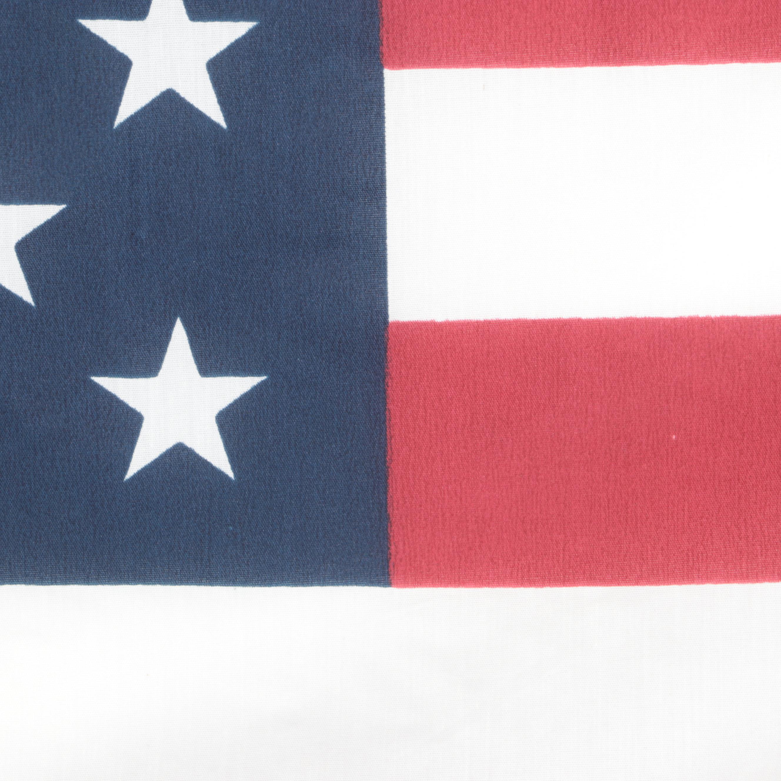 Annin & Co American Flag with Federal Style Springfield Thermometer / Barometer