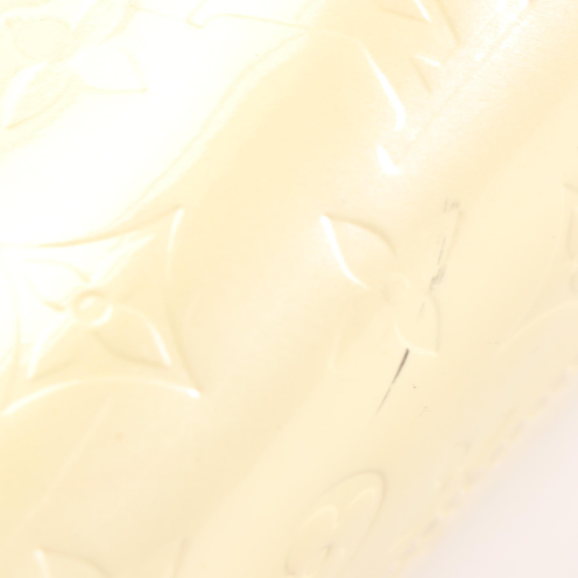 Louis Vuitton Roxbury Drive Bag in Perle Monogram Vernis and Vachetta Leather