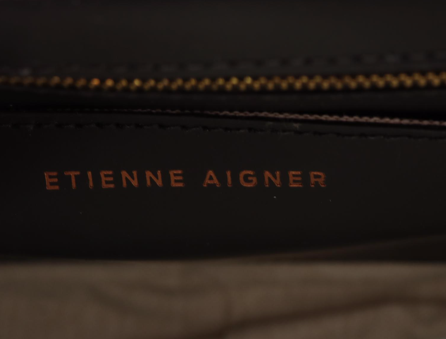 Etienne Aigner Leather Crossbody Bags