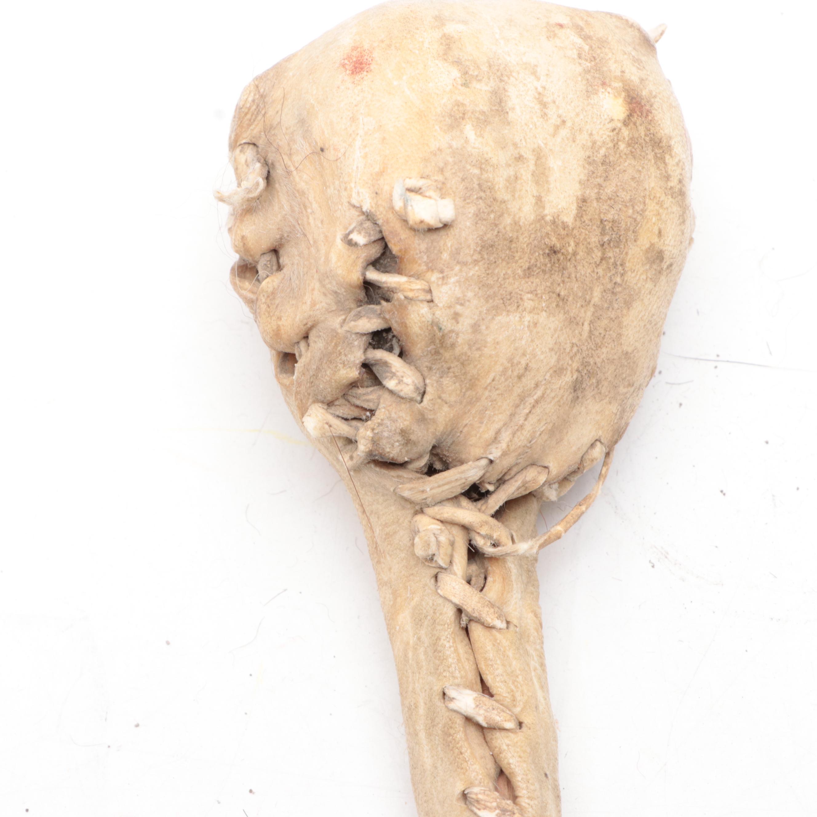 Native American Style Ceremonial Staffs and War Club