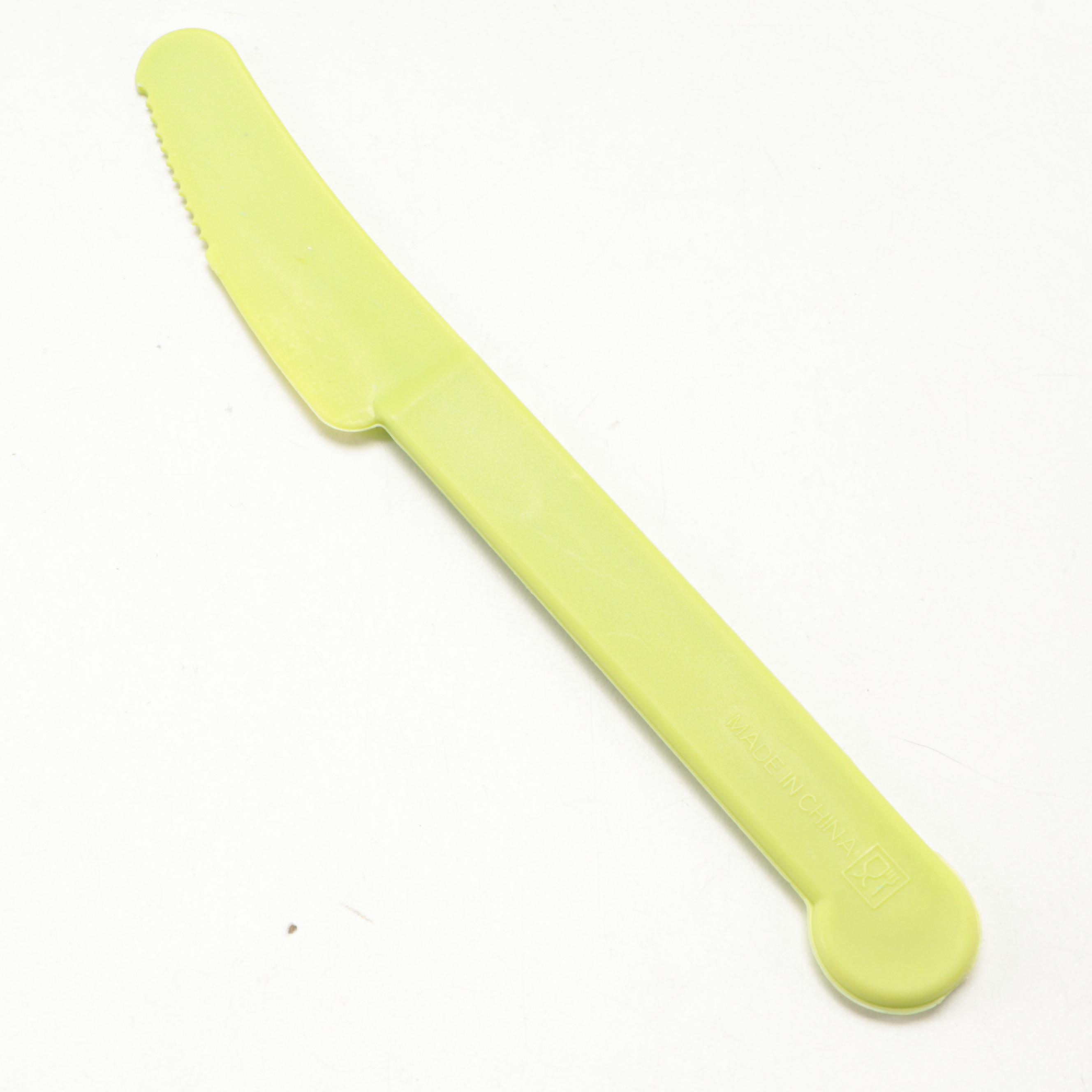 Target Home Chartreuse Melamine Summer Dinnerware and Serveware