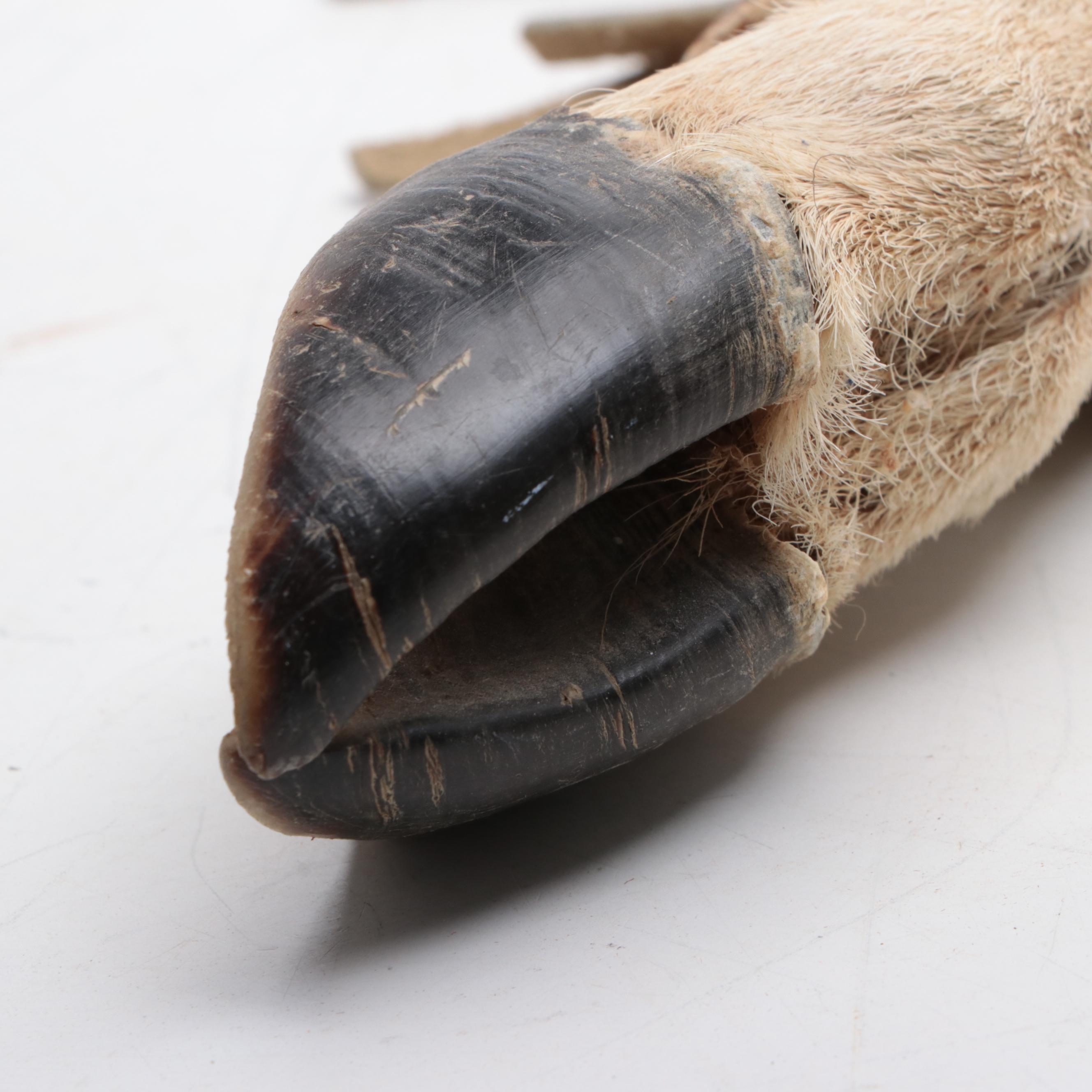 Native American Style Ceremonial Sticks and Club