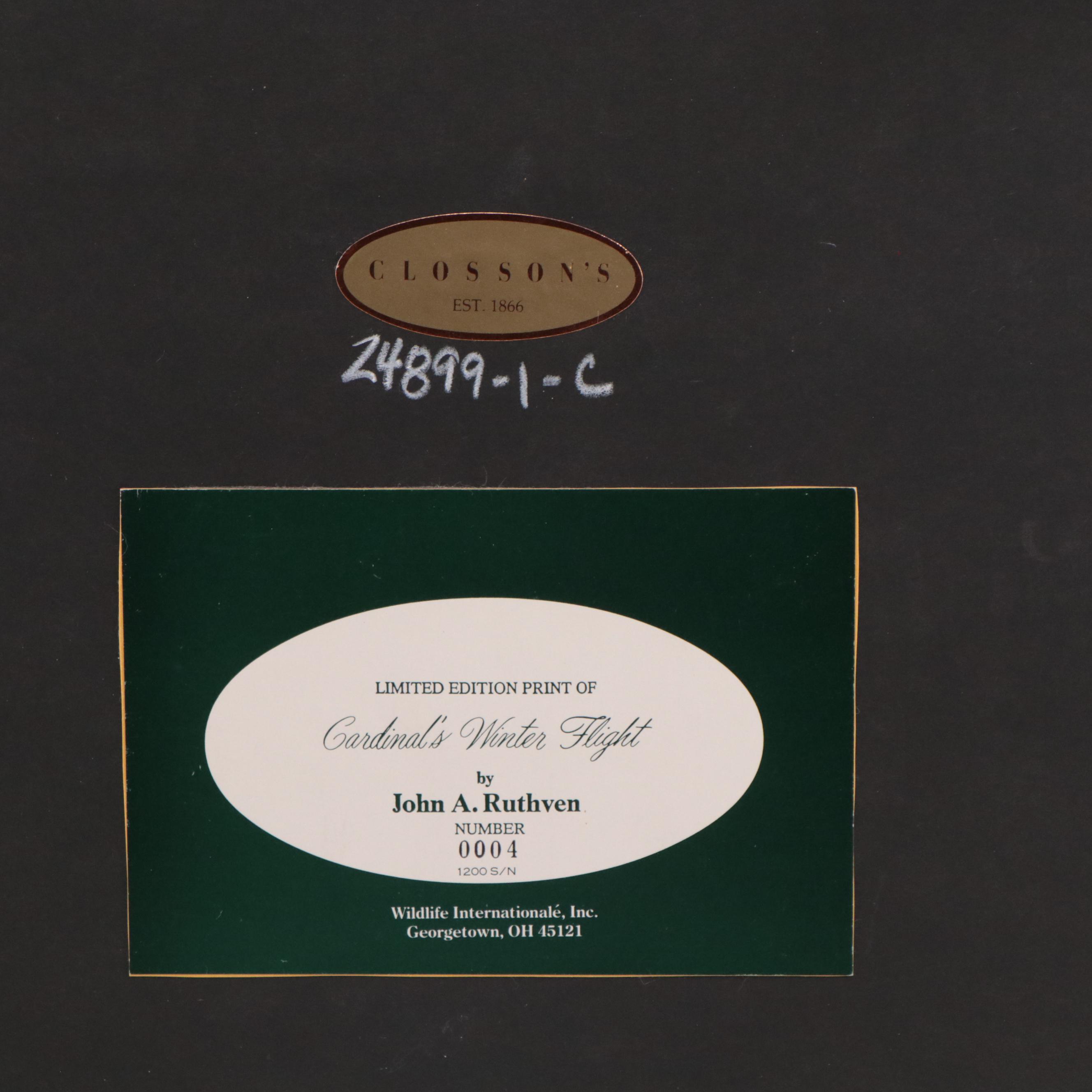 John Ruthven Offset Lithograph "Cardinal's Winter Flight"