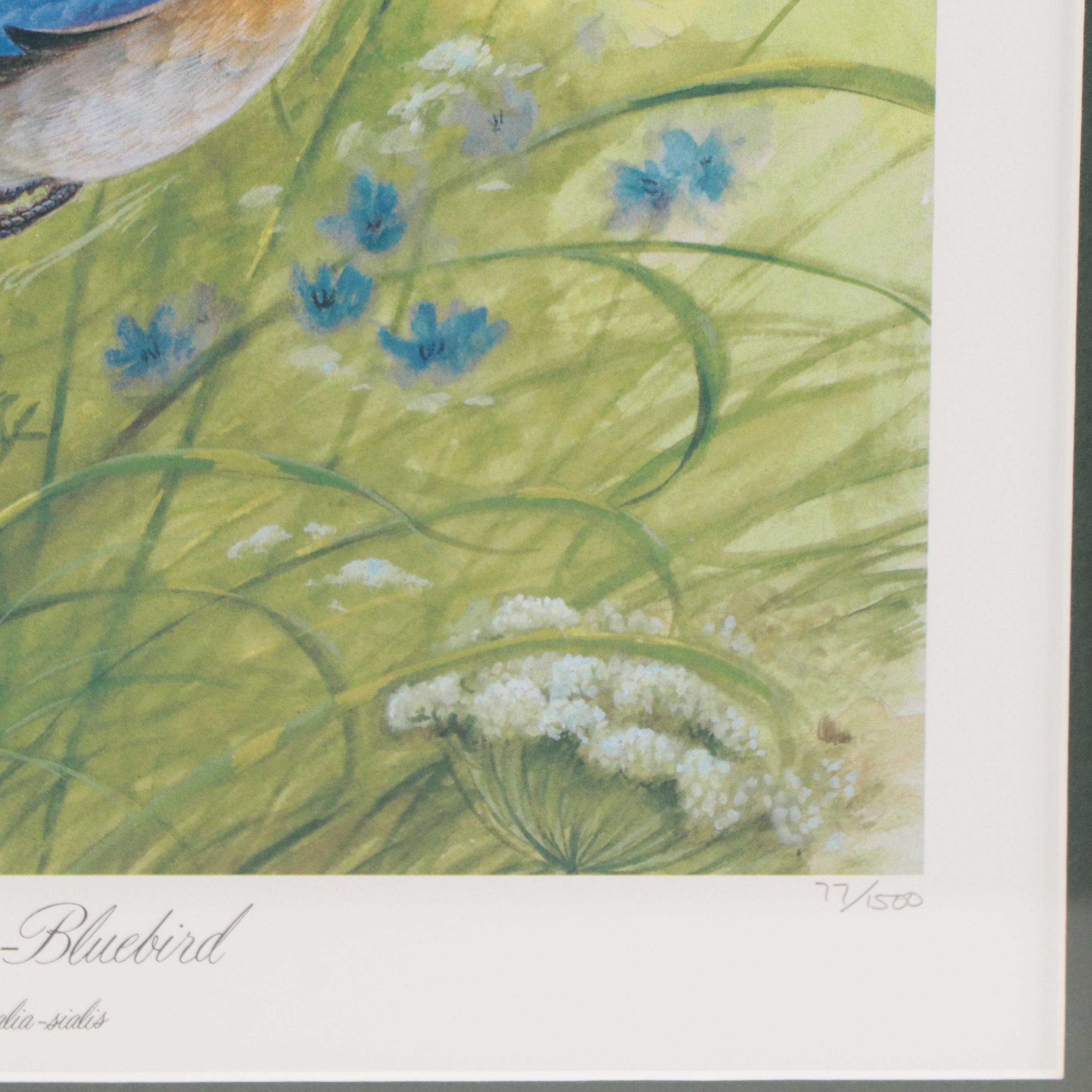 John Ruthven Offset Lithograph "Eastern Bluebird"