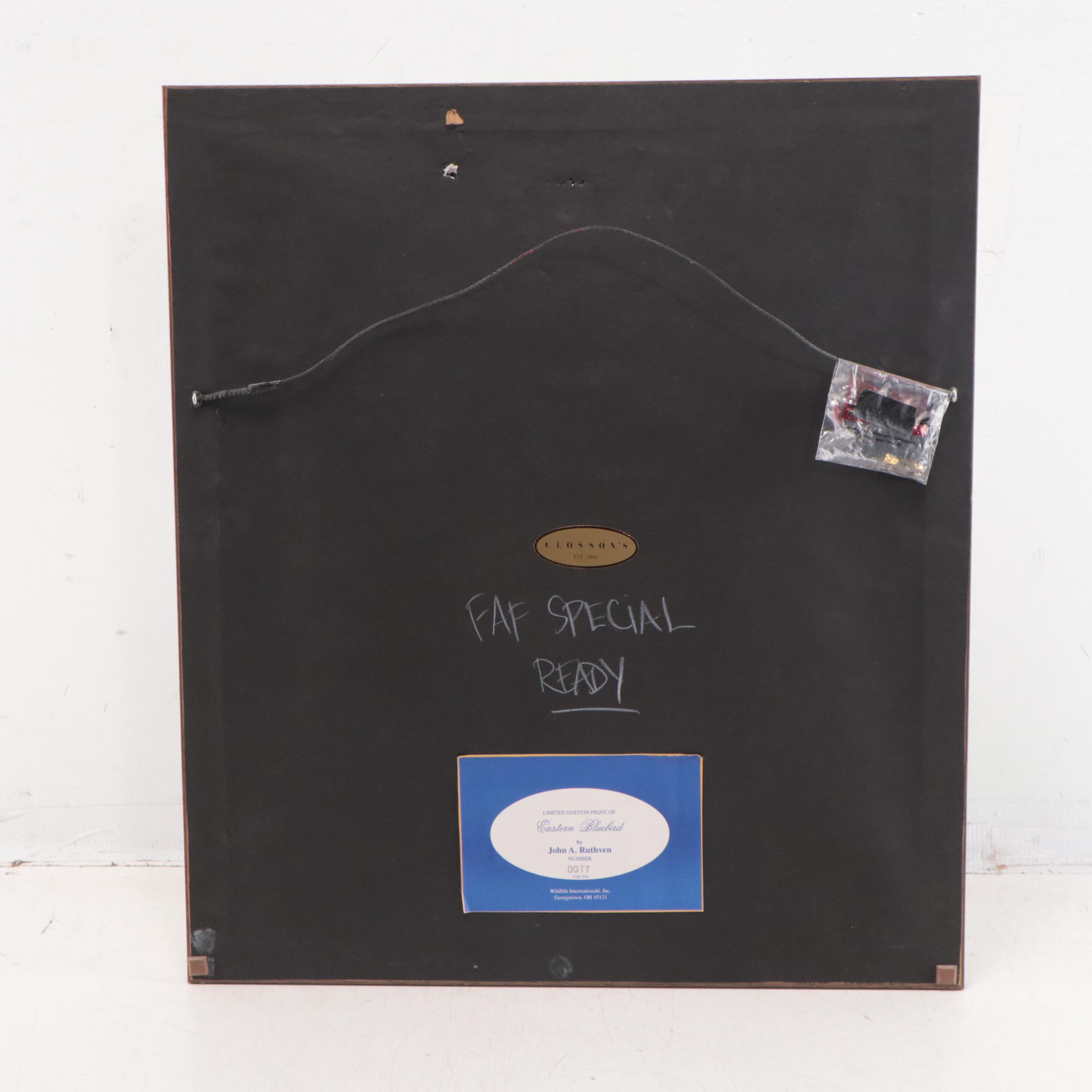 John Ruthven Offset Lithograph "Eastern Bluebird"