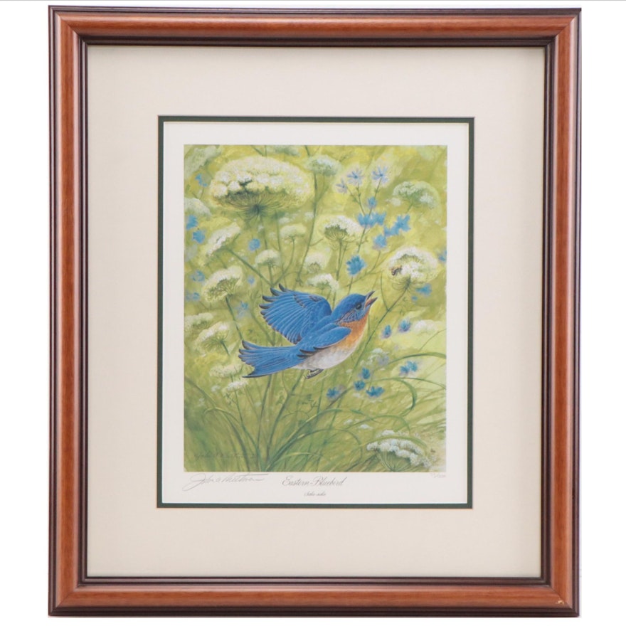 John Ruthven Offset Lithograph "Eastern Bluebird"