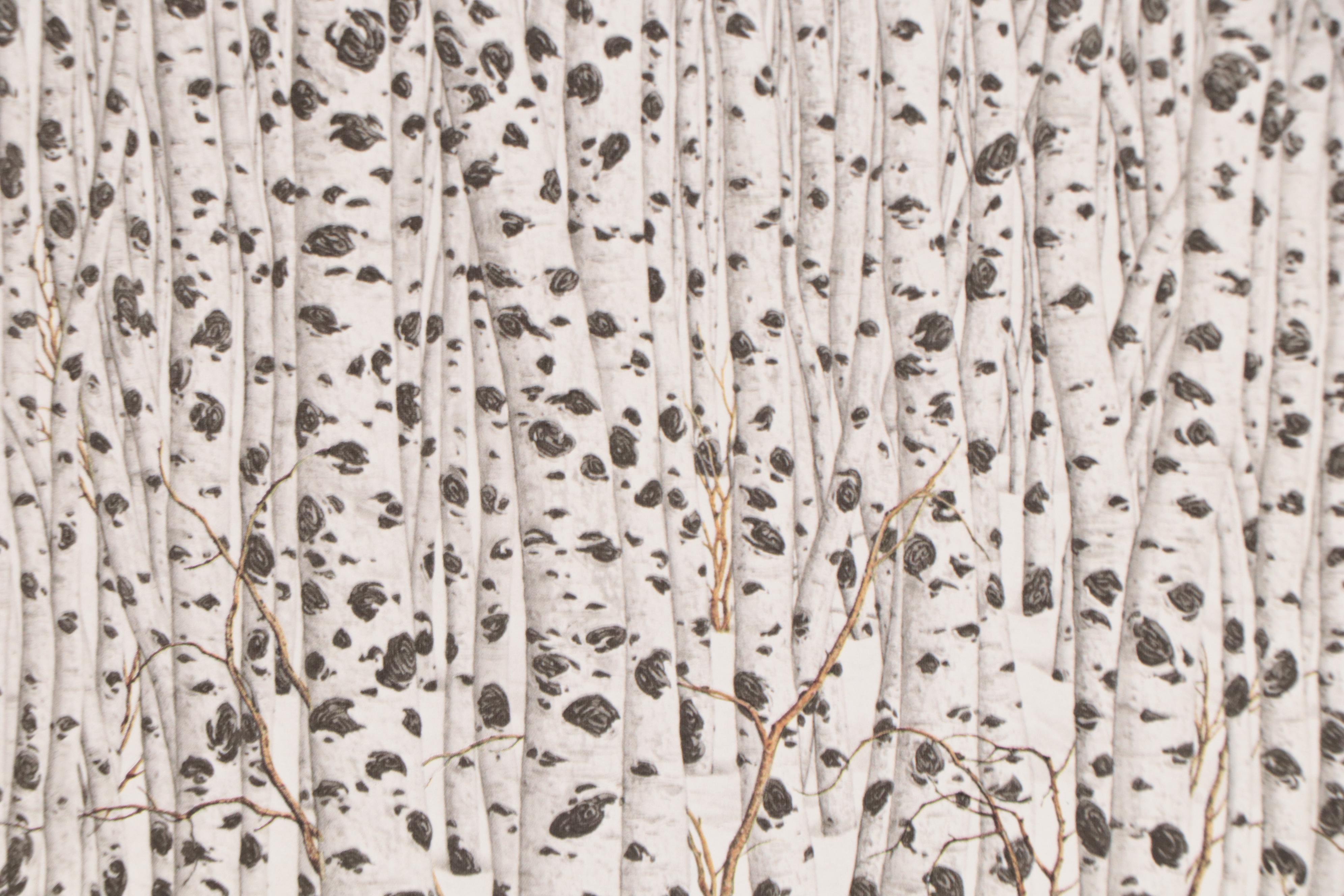 Bev Doolittle Offset Lithograph "Sacred Ground," 1989