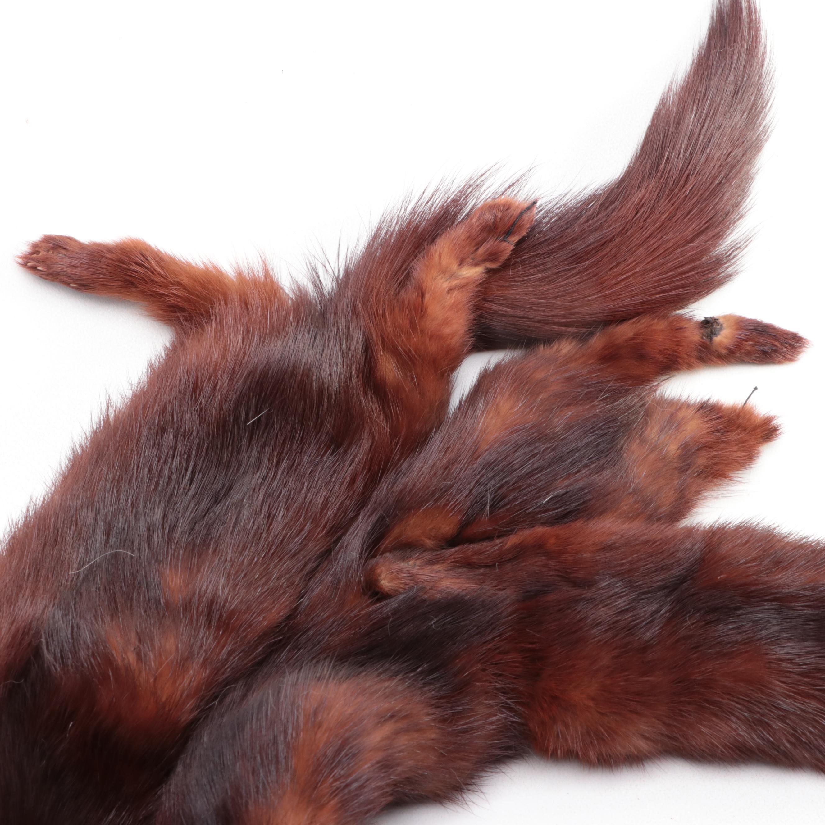 Mink Fur Pelt and Goat Fur Stole