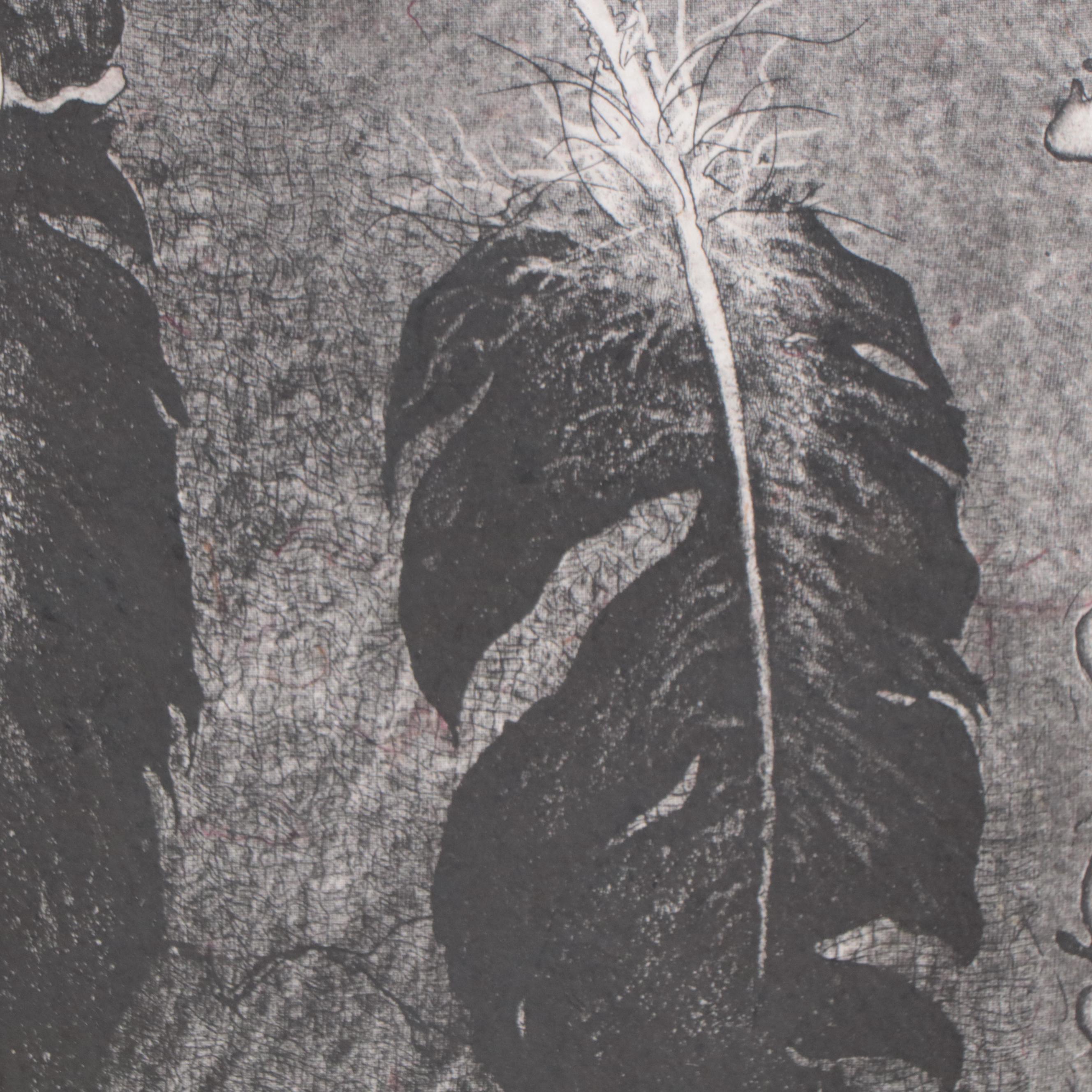 Steve Nowatzki Etching on Handmade Paper "Species Molt"