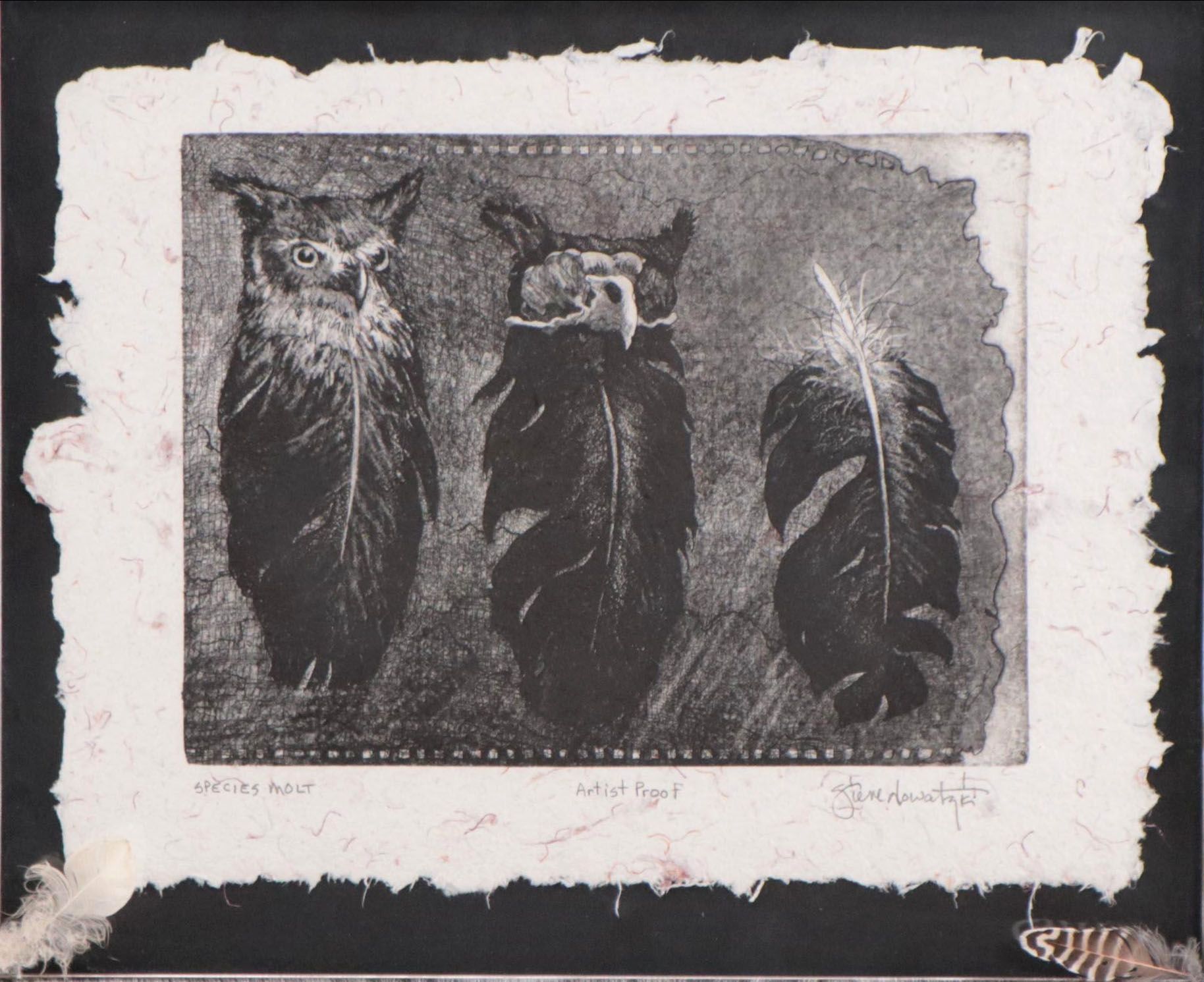 Steve Nowatzki Etching on Handmade Paper "Species Molt"