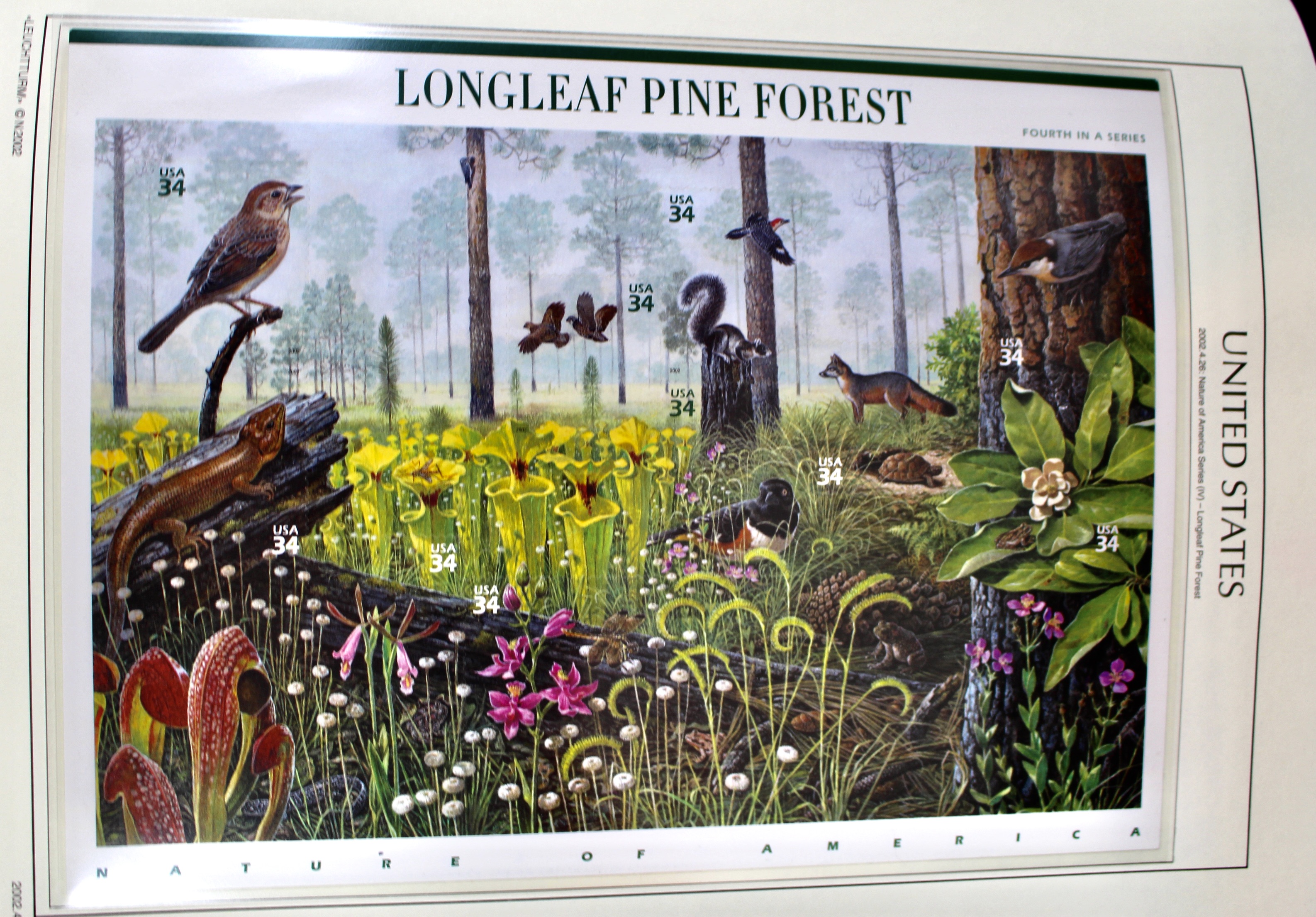 Mint Condition U.S. Postage Stamp Collection in Hingeless Album