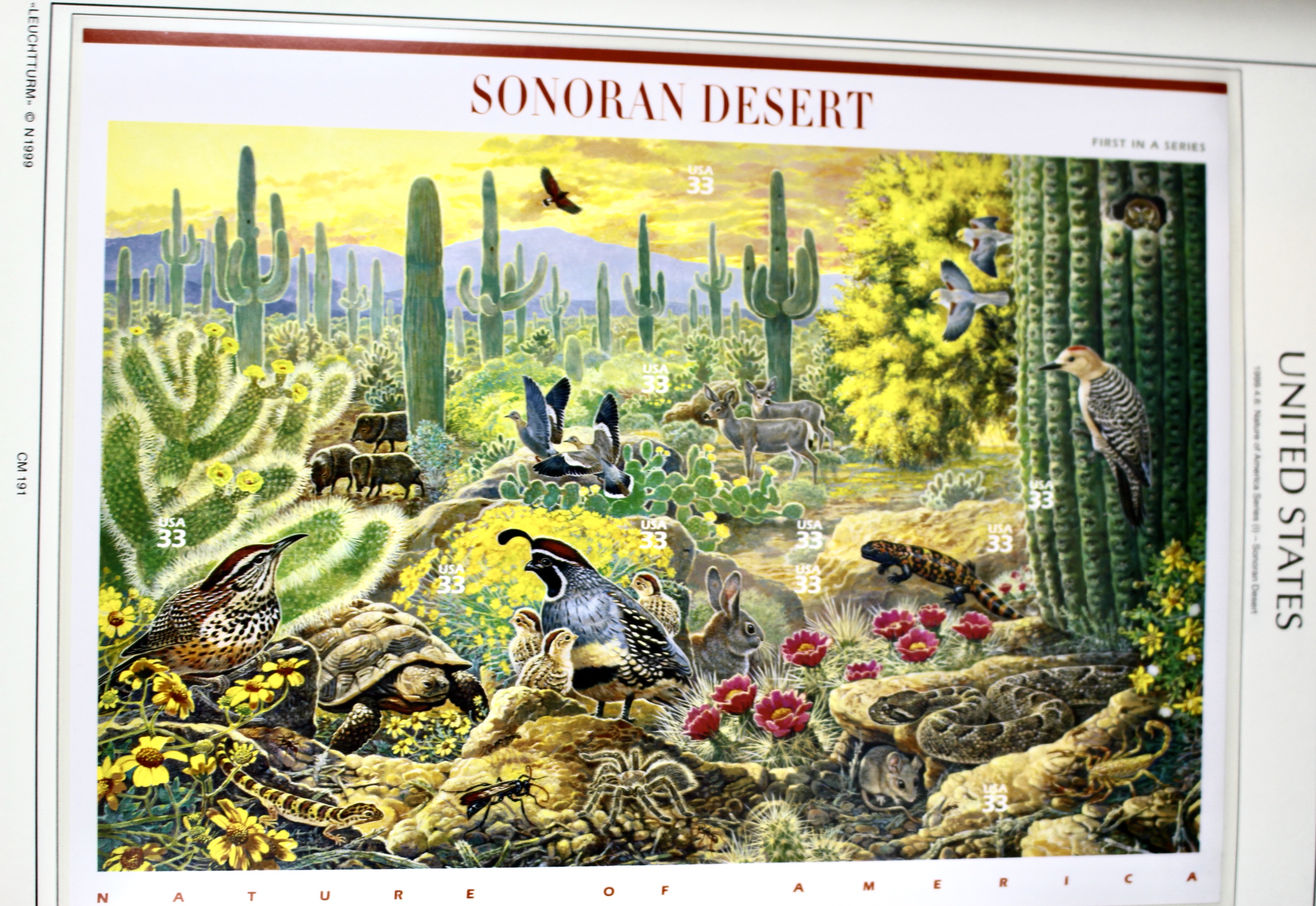 Mint Condition U.S. Postage Stamp Collection in Hingeless Album