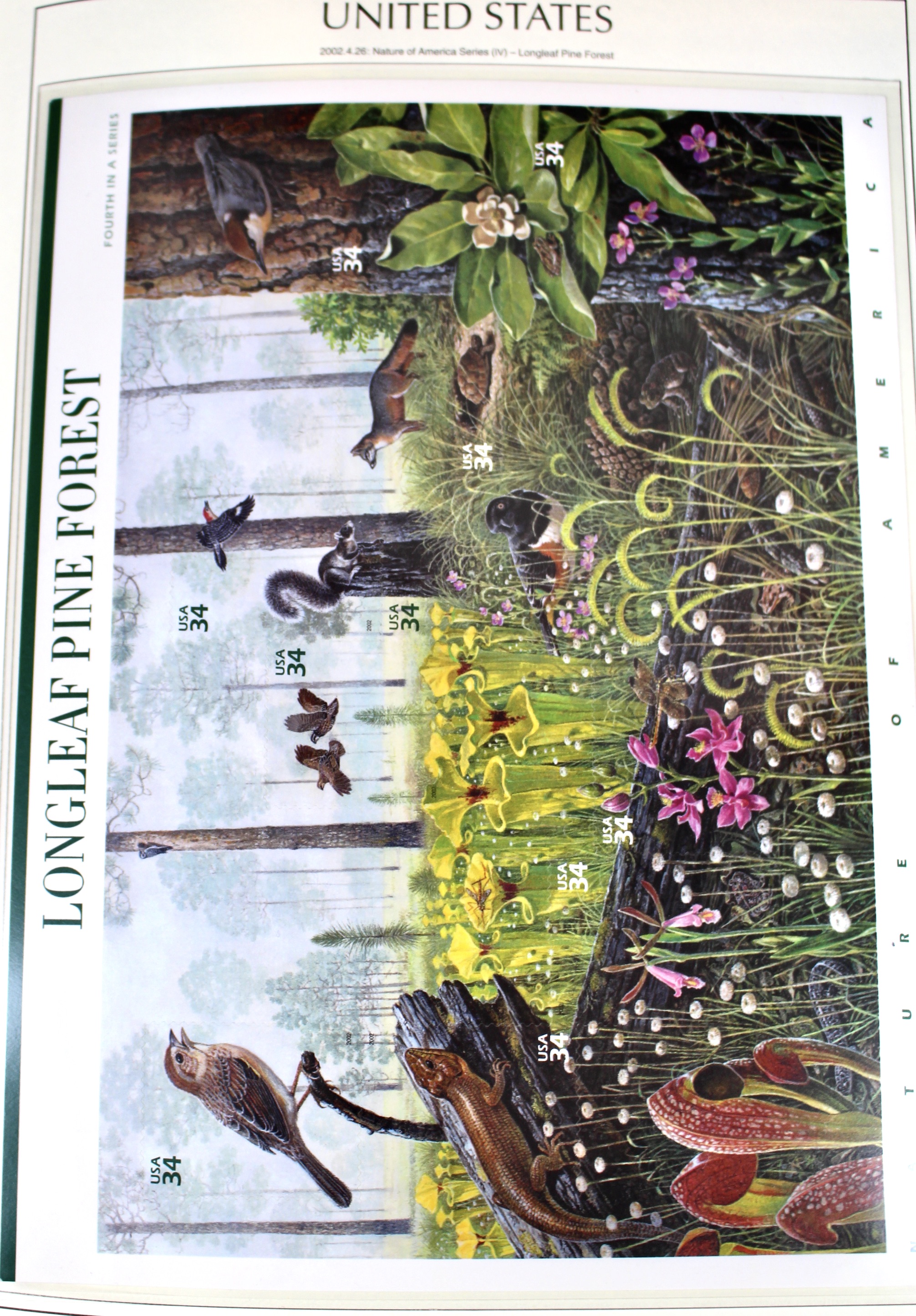 Mint Condition U.S. Postage Stamp Collection in Hingeless Album