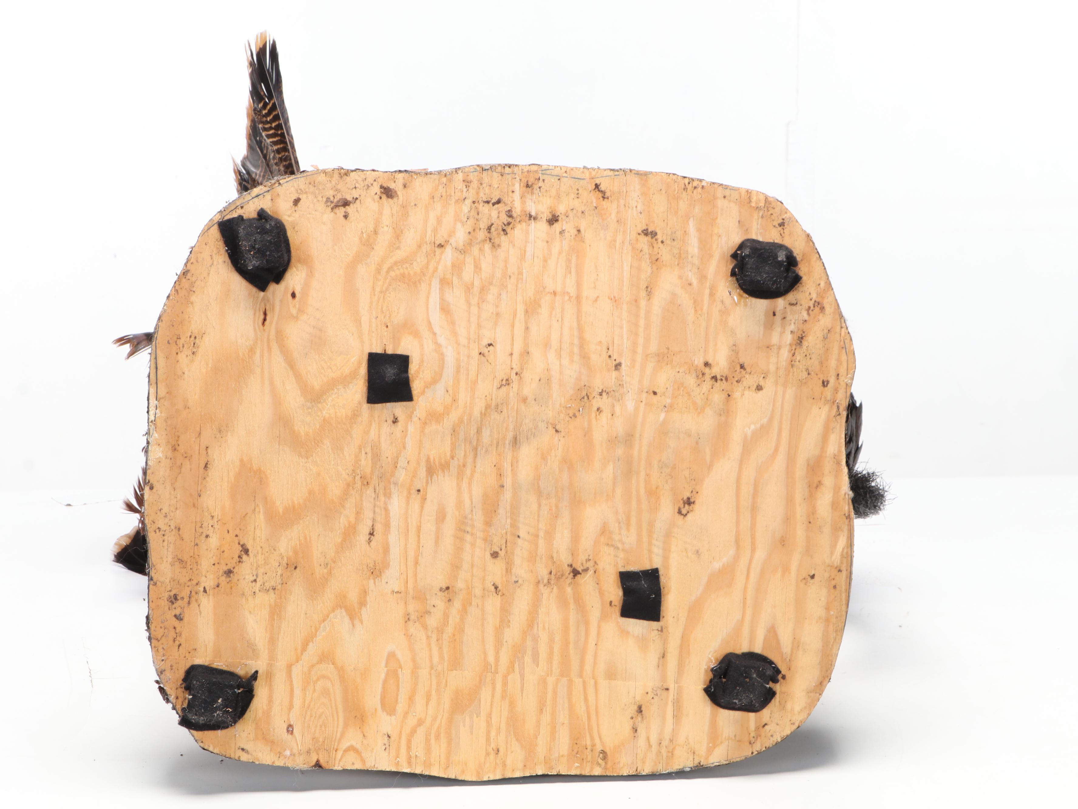 Taxidermy Wild Turkey Tom Full Body Display on Wood Base