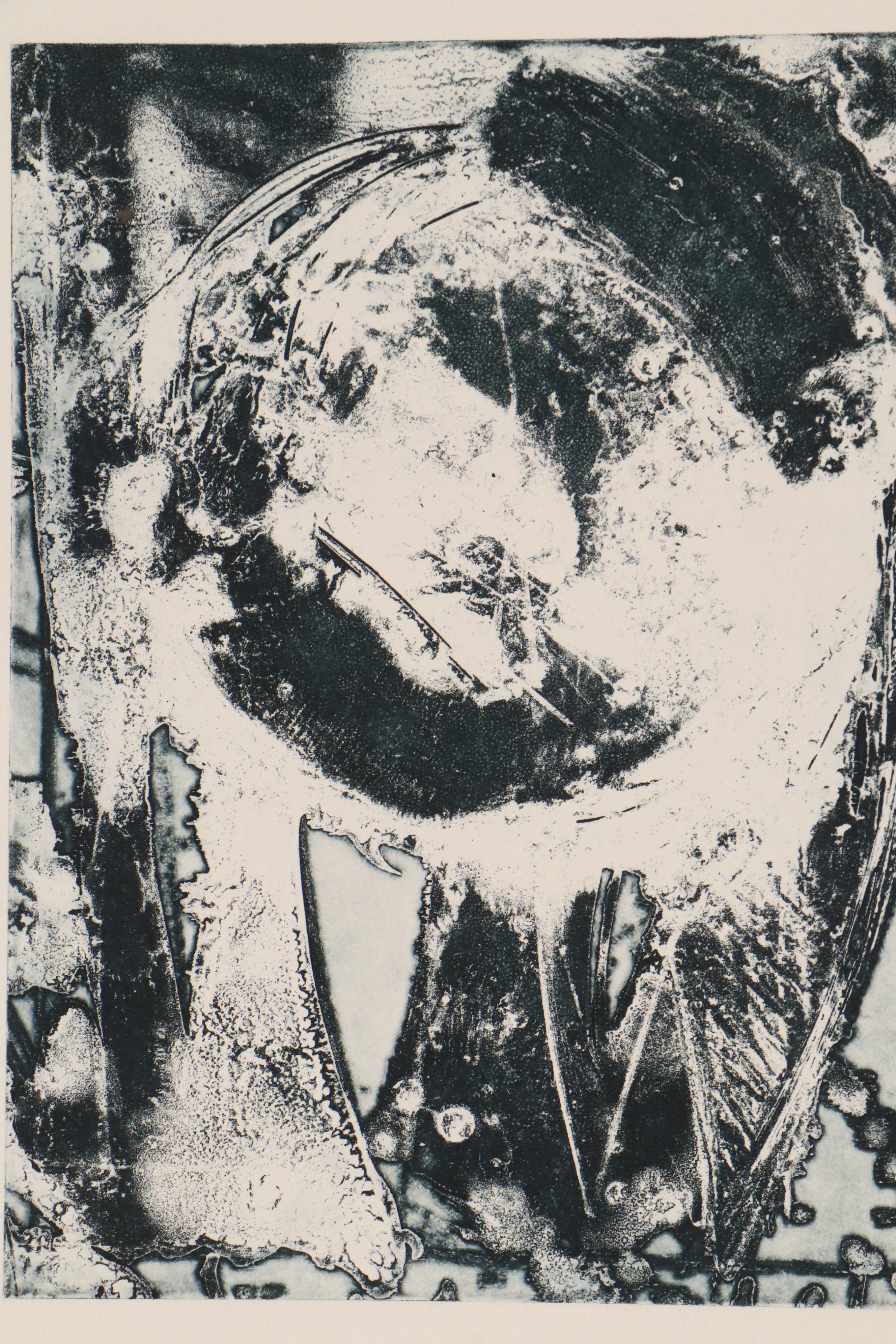 Sarah Roush Abstract Aquatint Etchings "Seething III," 1982