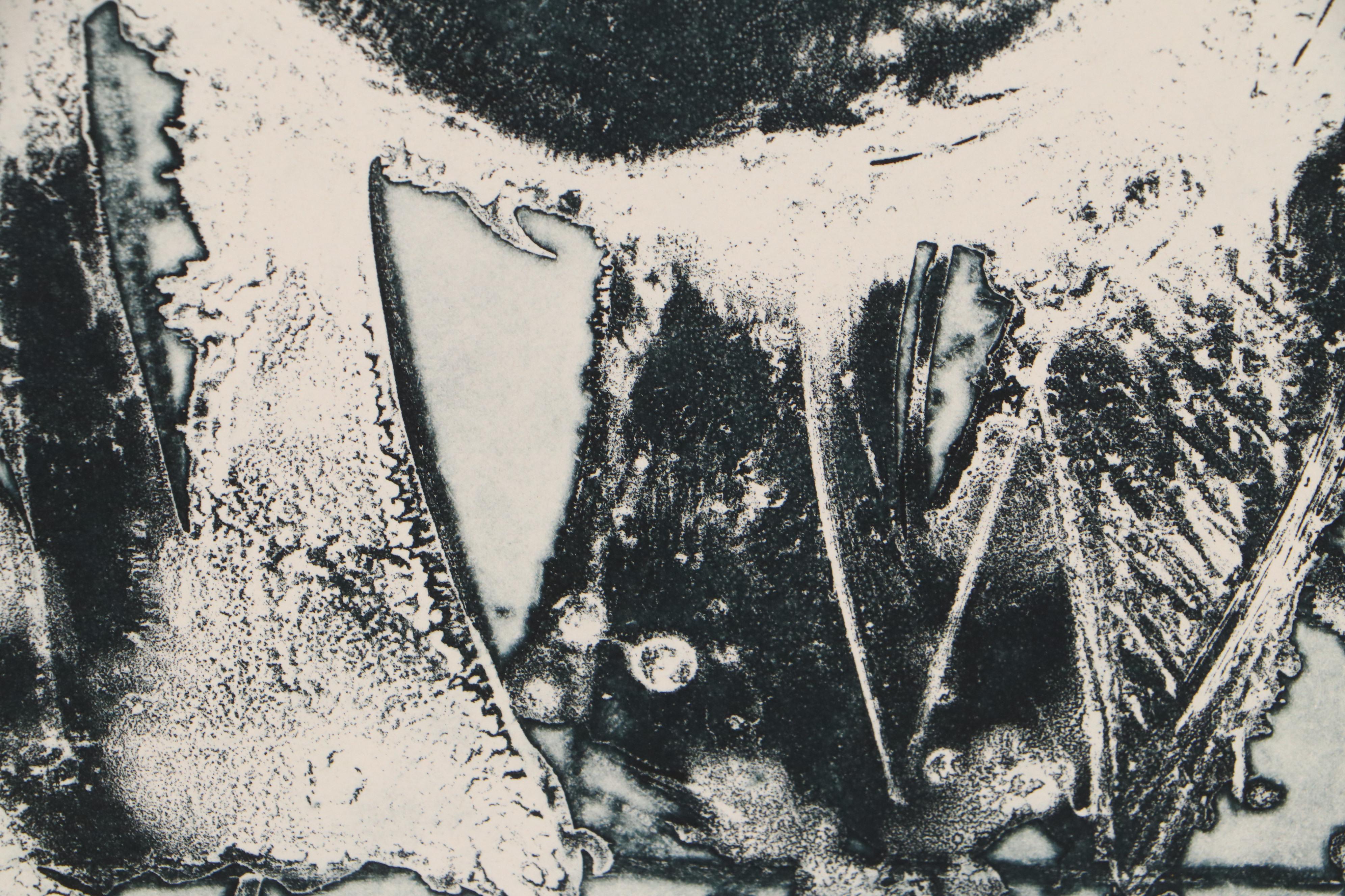 Sarah Roush Abstract Aquatint Etchings "Seething III," 1982