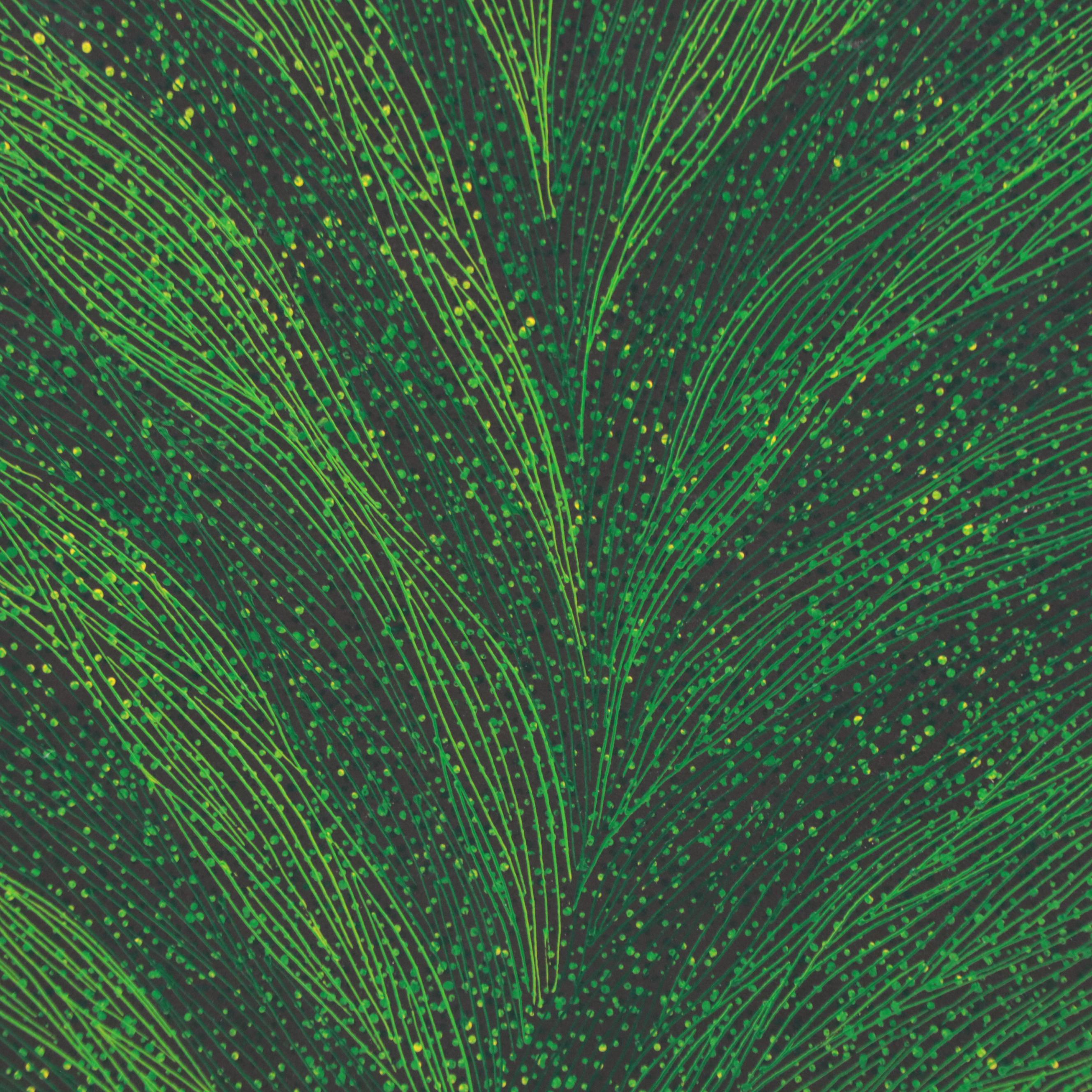 Vegetal Motif Oil Painting