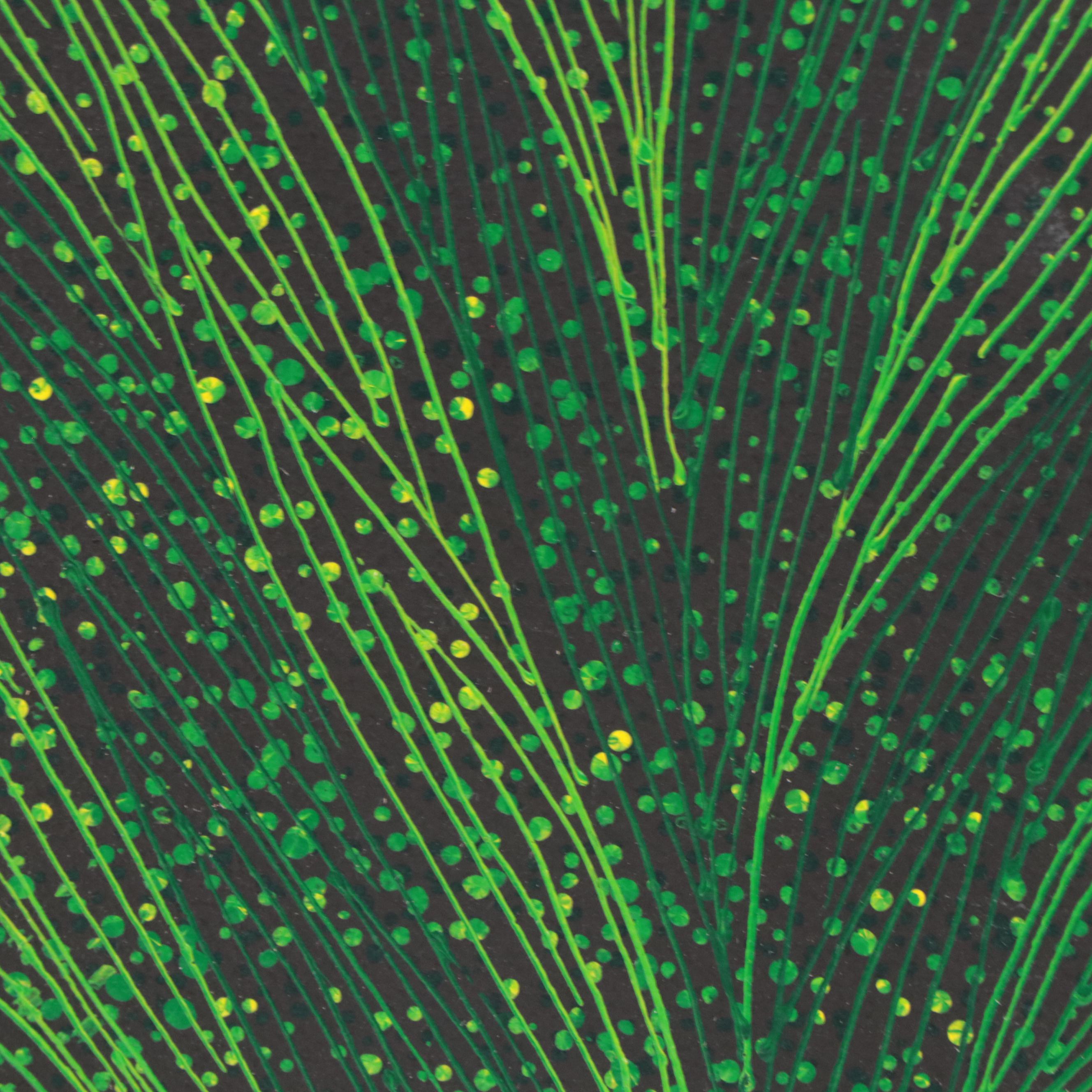 Vegetal Motif Oil Painting