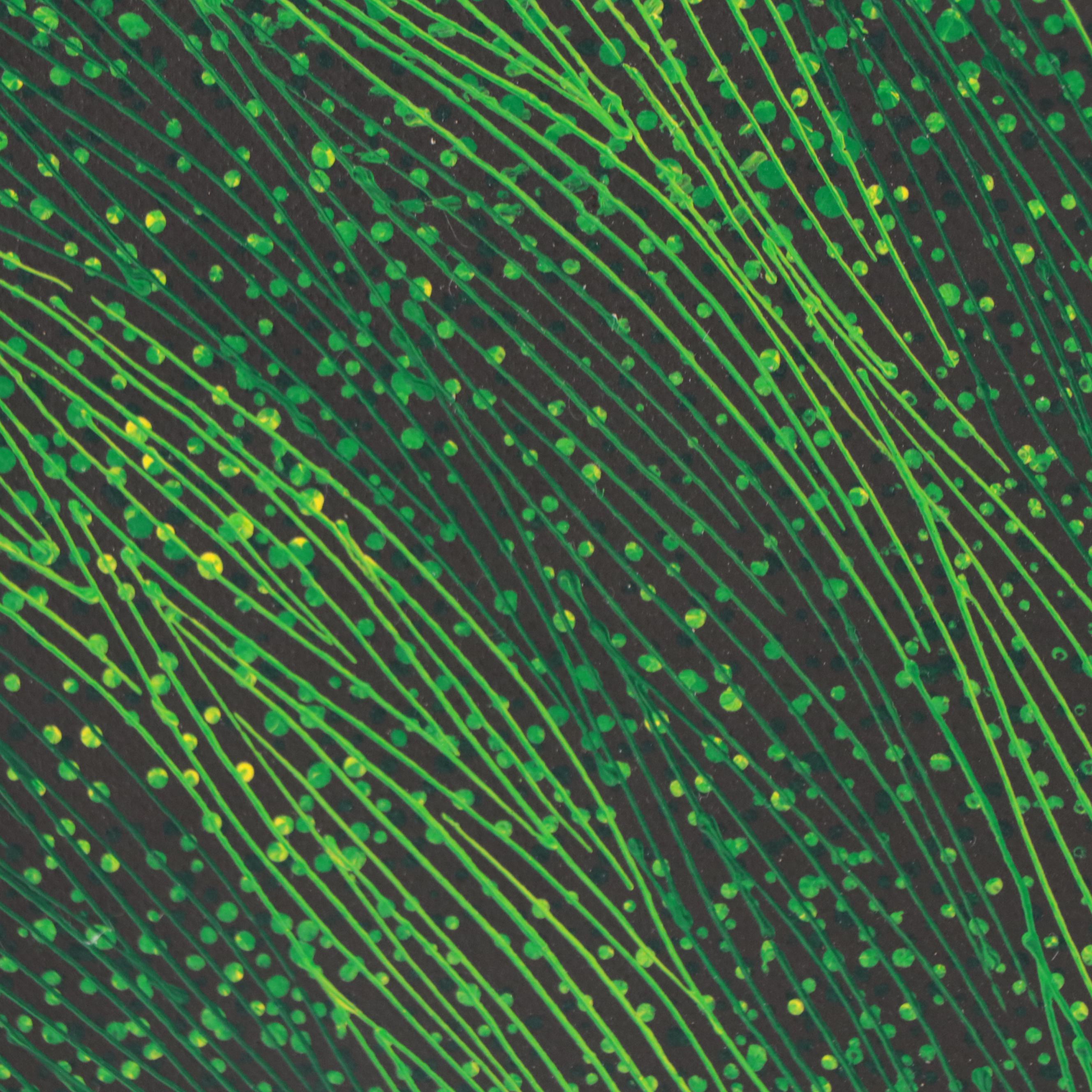 Vegetal Motif Oil Painting