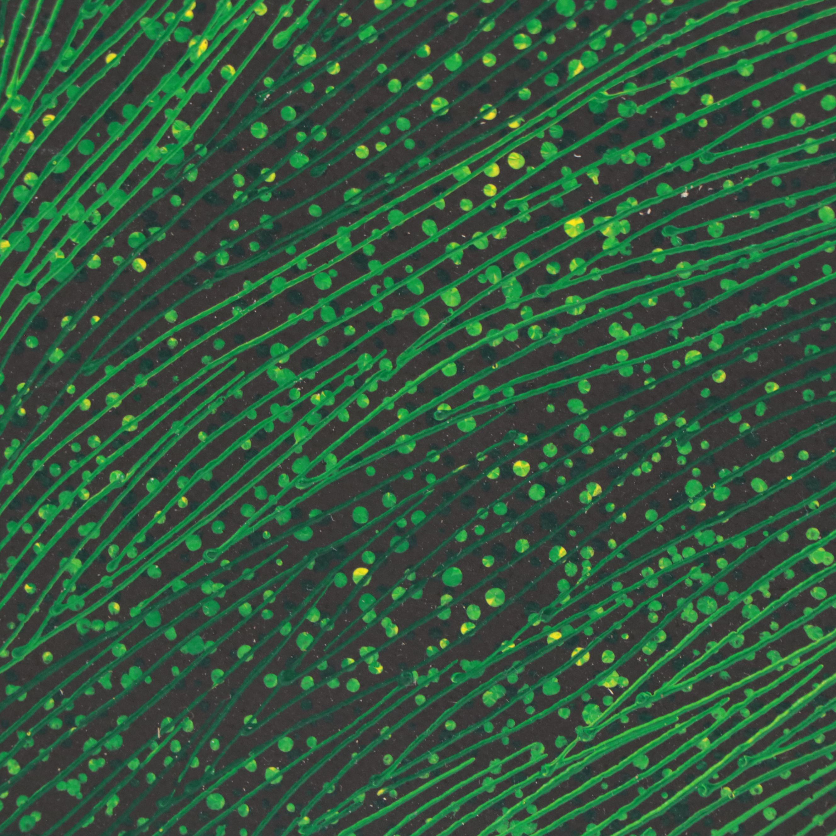 Vegetal Motif Oil Painting