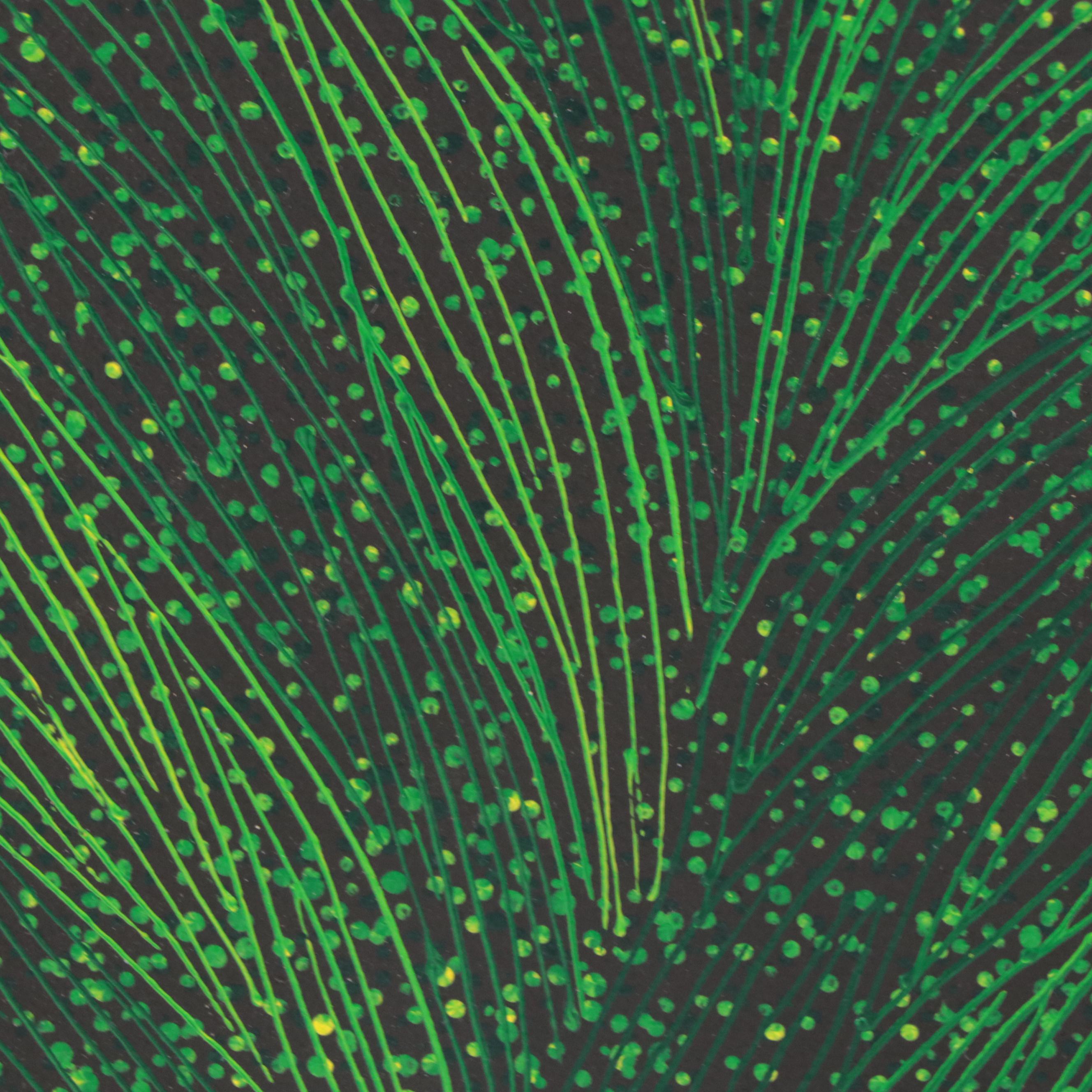 Vegetal Motif Oil Painting