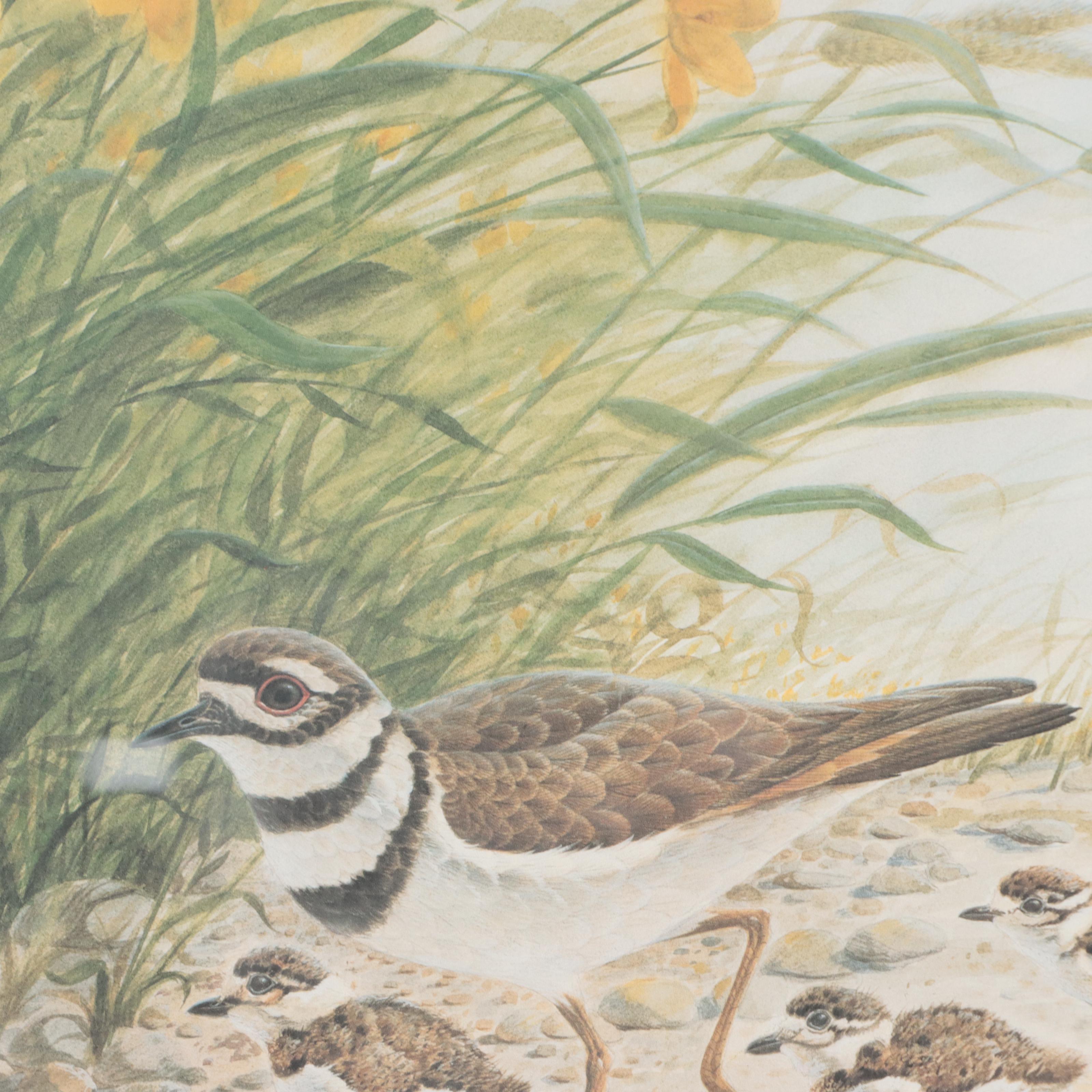 John Ruthven Offset Lithograph "Killdeer"
