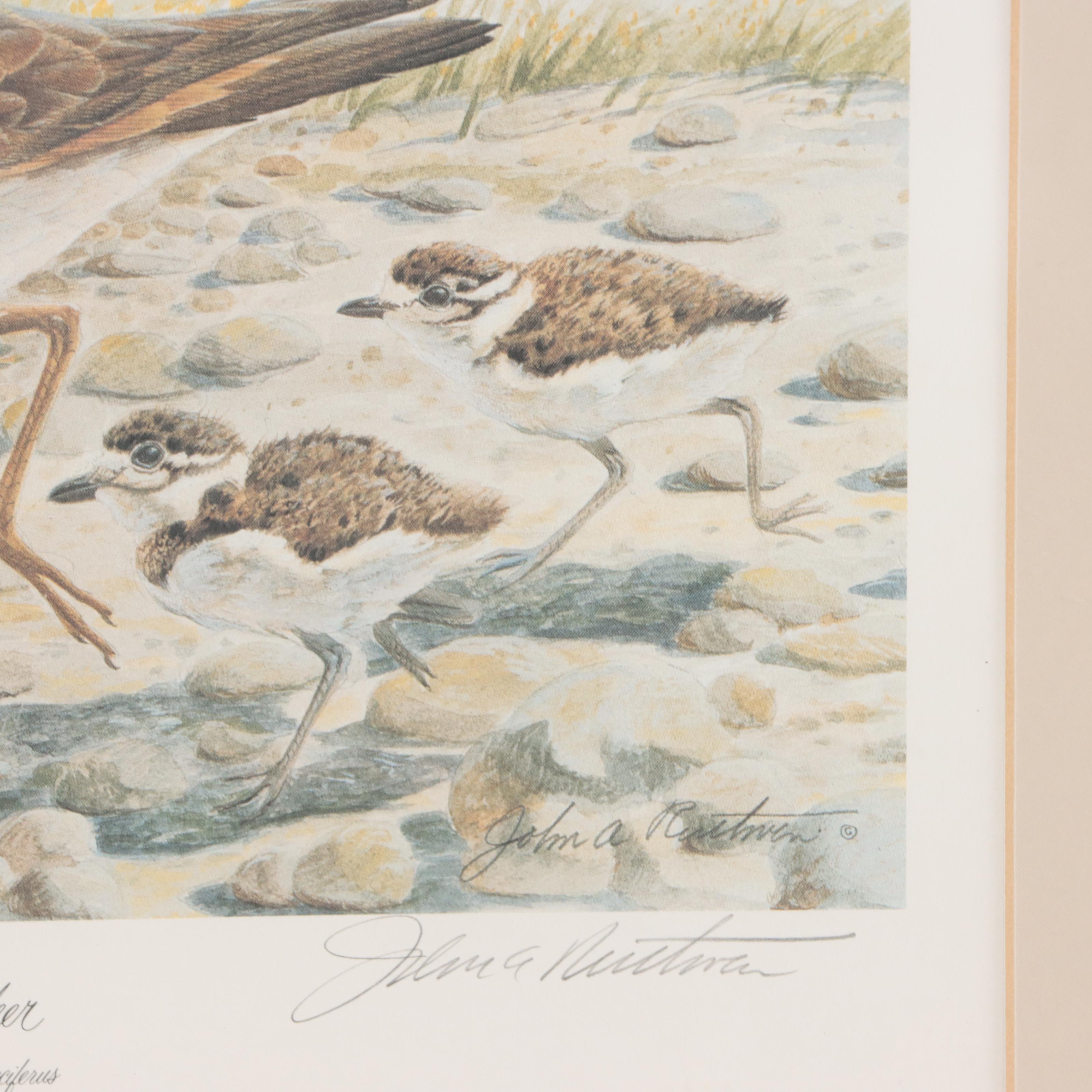John Ruthven Offset Lithograph "Killdeer"
