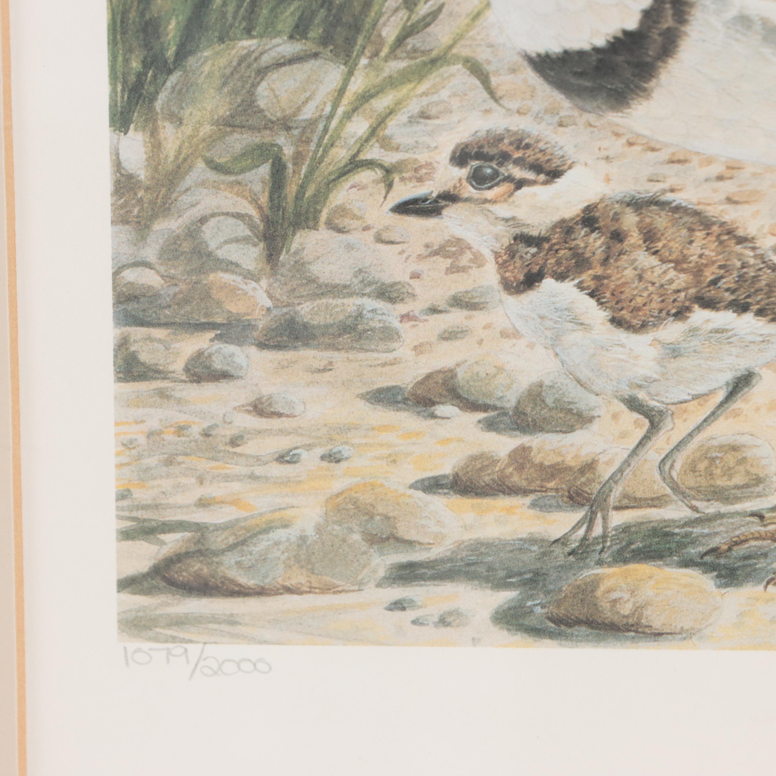 John Ruthven Offset Lithograph "Killdeer"