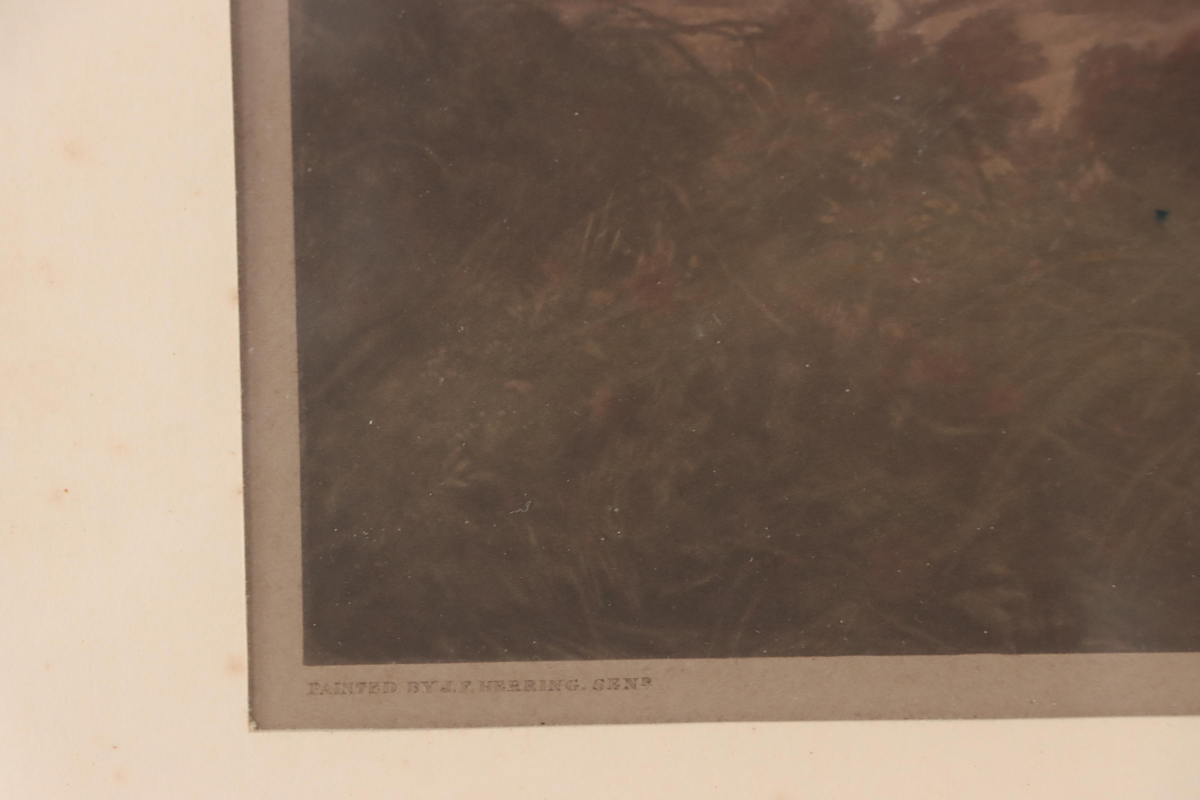 Hand-Colored Photogravure After John F. Herring "Breaking Cover," 1867