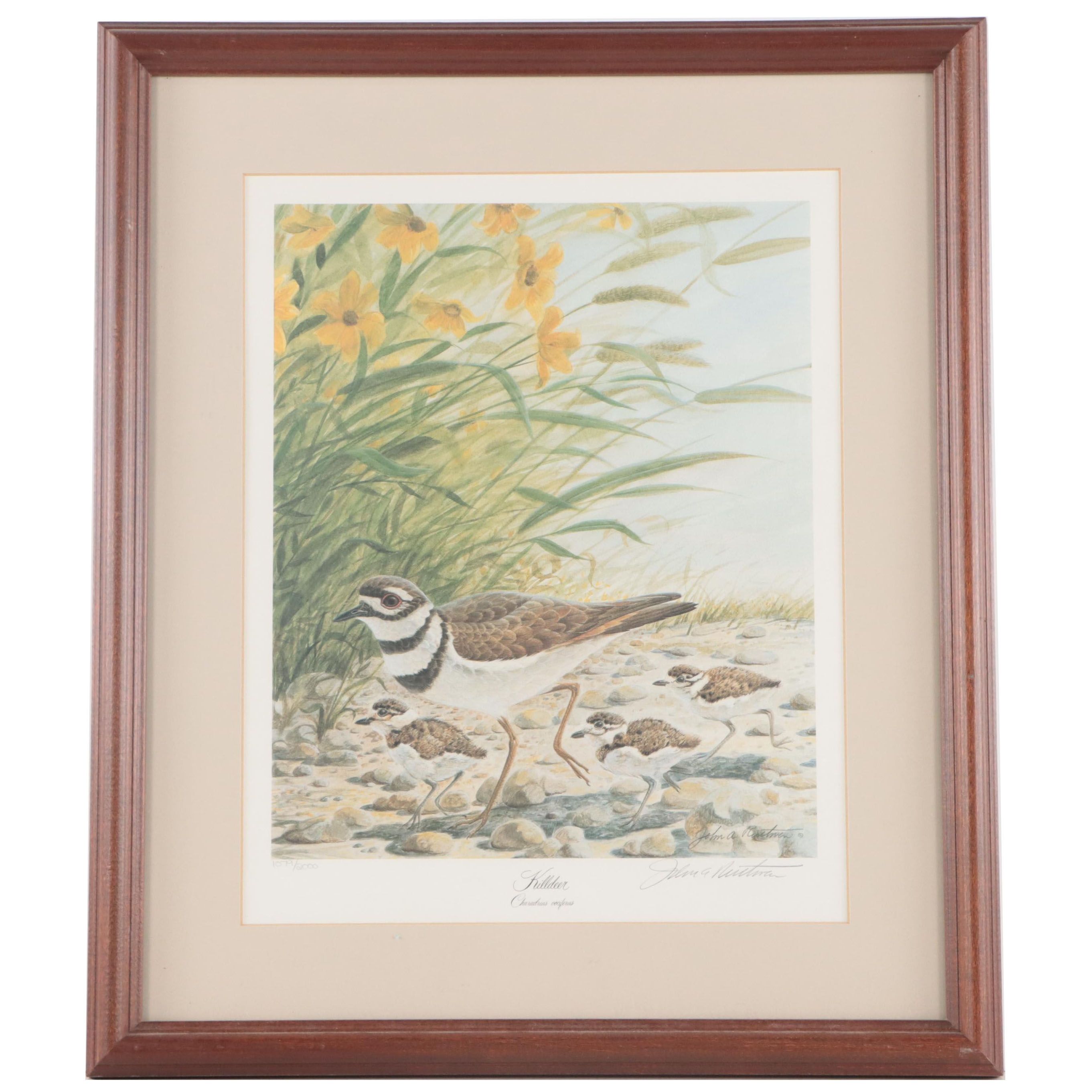 John Ruthven Offset Lithograph "Killdeer" EBTH