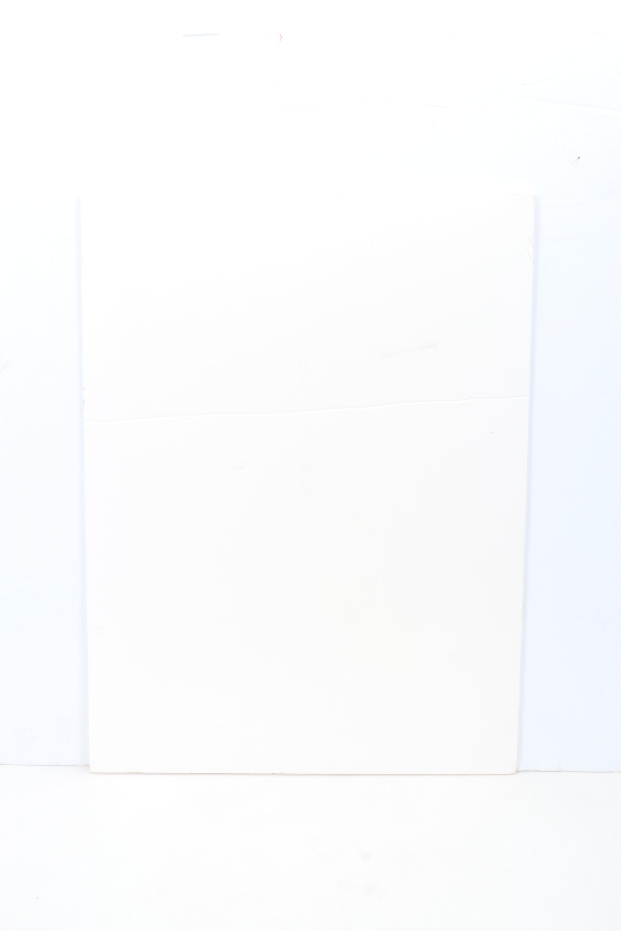 Sidney Chafetz Etching "Orwell," 1984