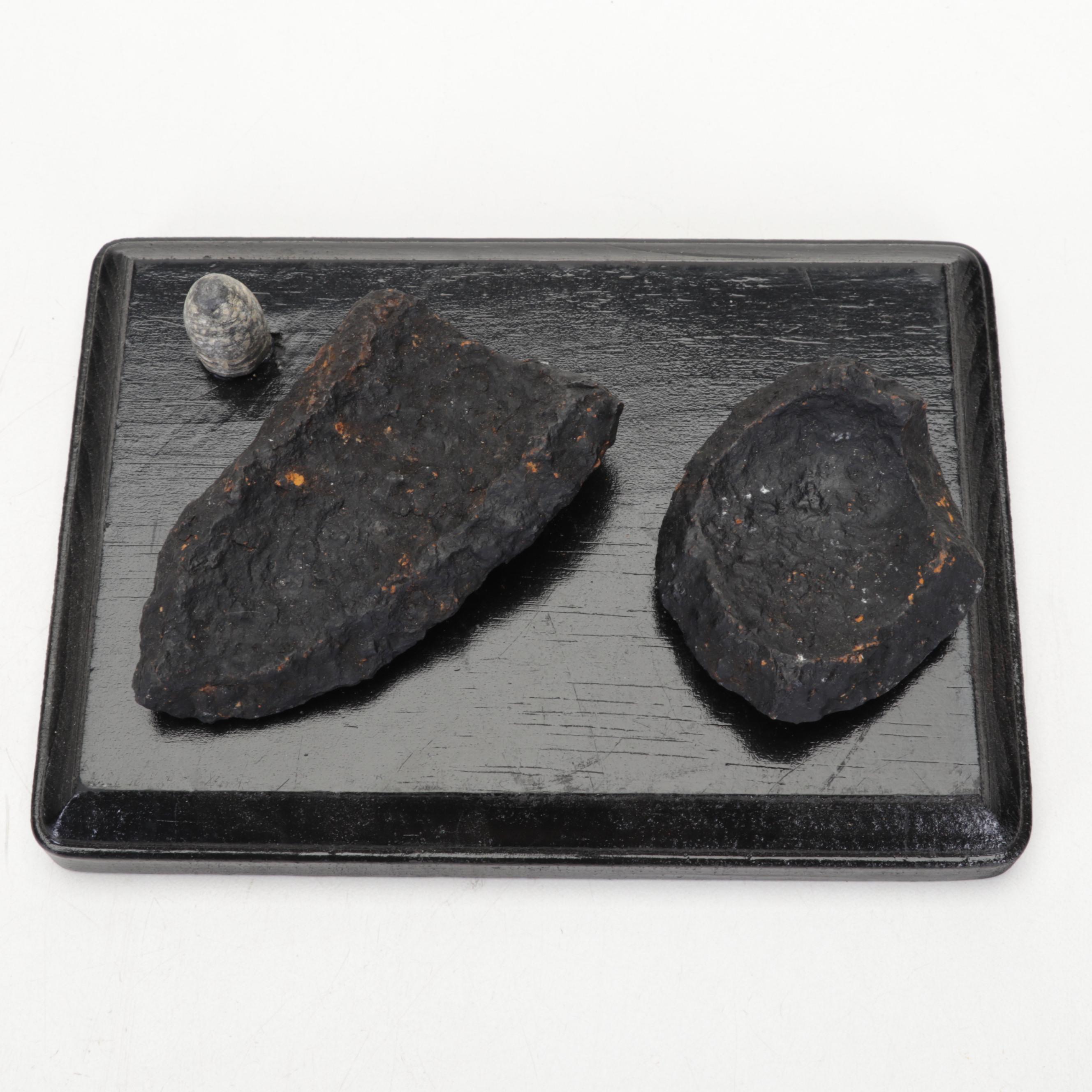 Civil War Cannonball Shrapnel and Bullets on Wooden Bases From V.A. and N.C.