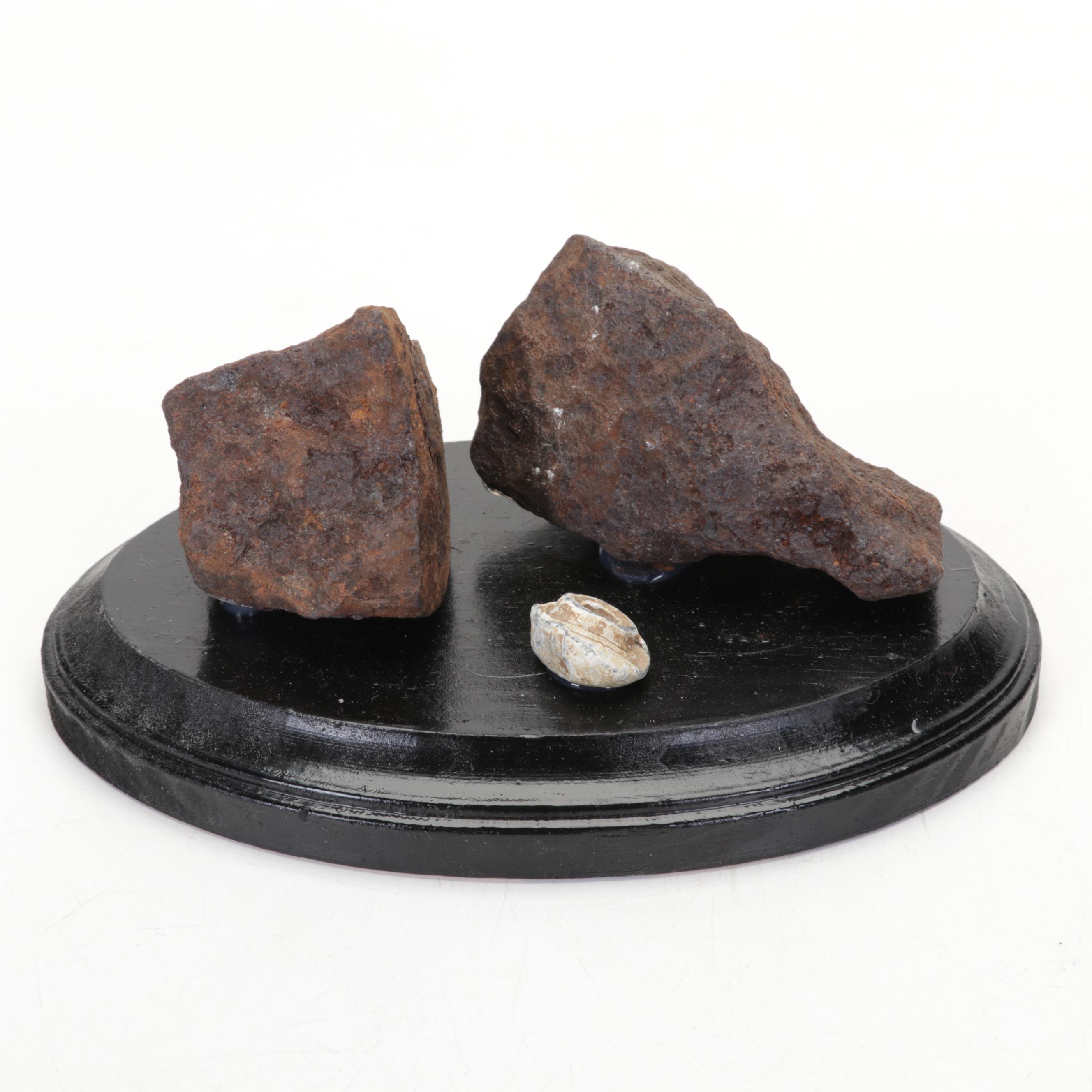 Civil War Cannonball Shrapnel and Bullets on Wooden Bases From V.A. and N.C.