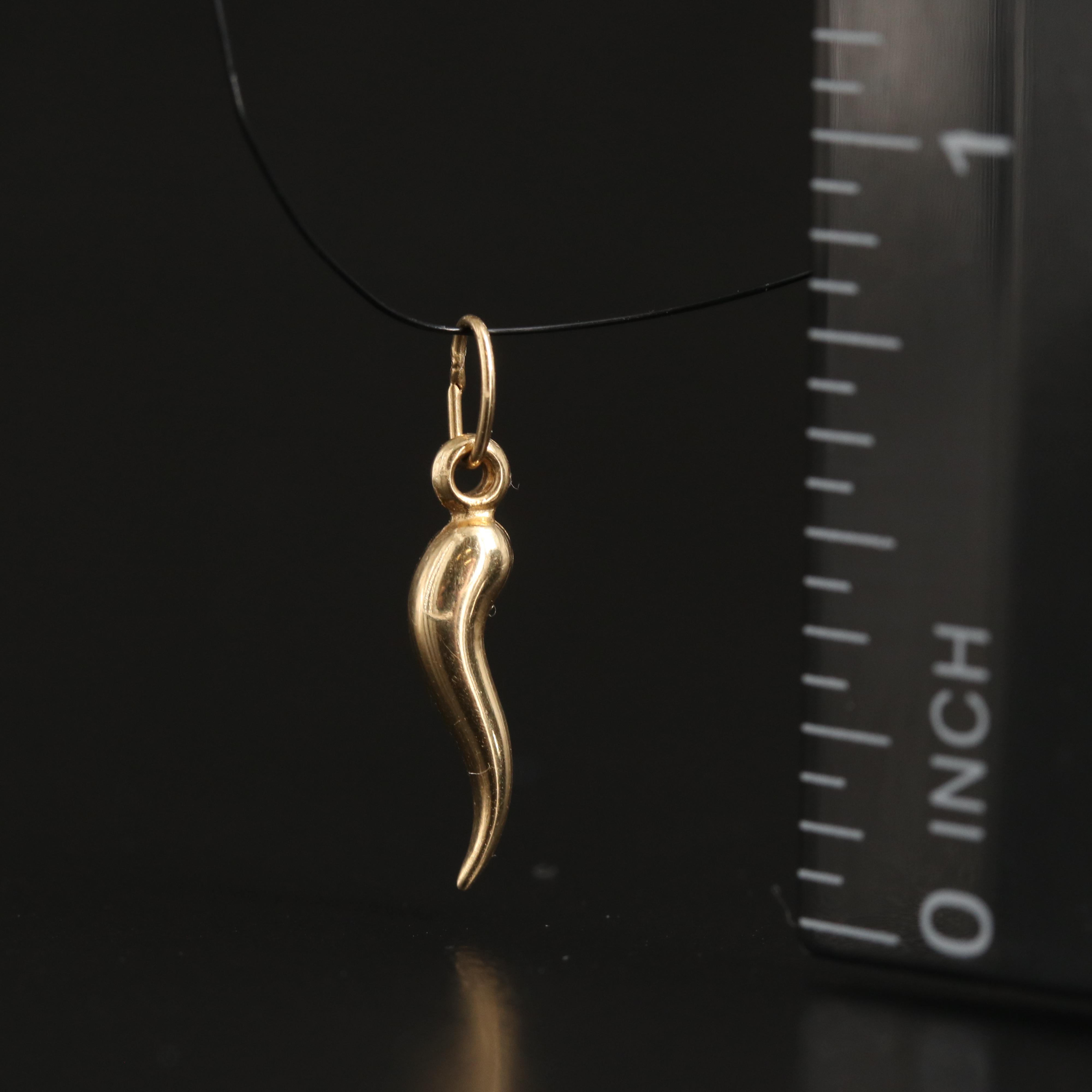 14K Cornicello Pendant