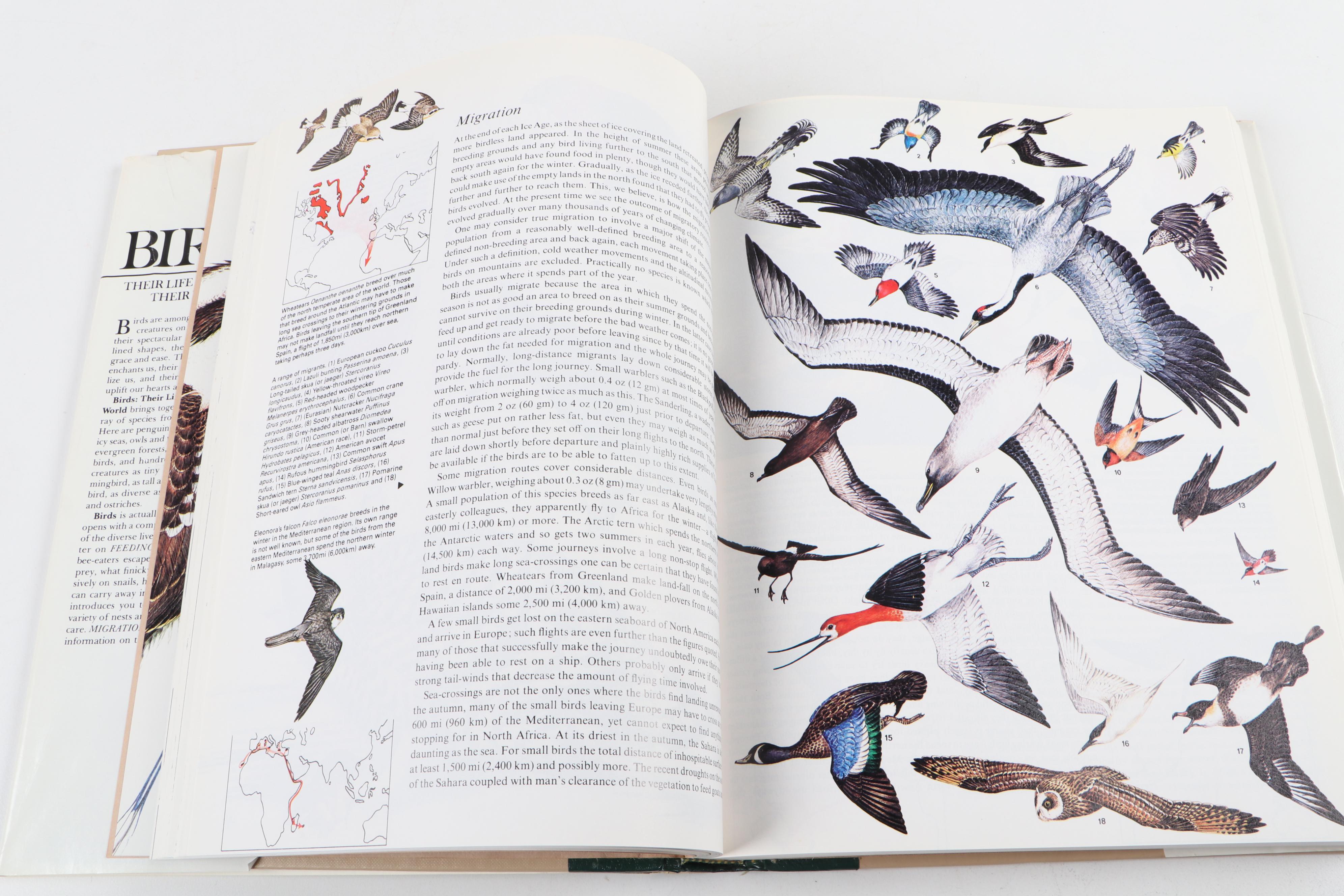 First Edition "Birds: Their Life, Their Ways, Their World" with Other Bird Books